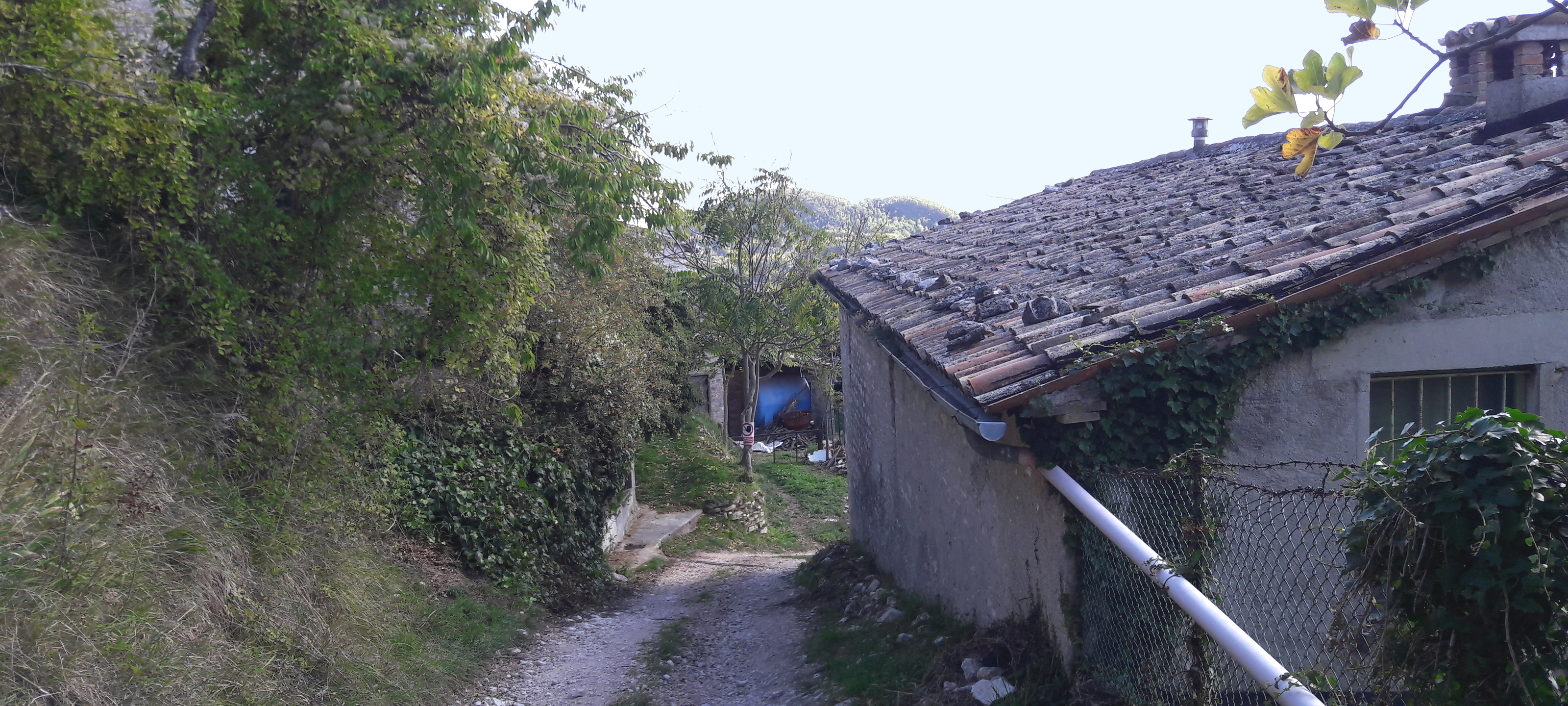 Gola del Furlo Sentiero 452 - immagine 6