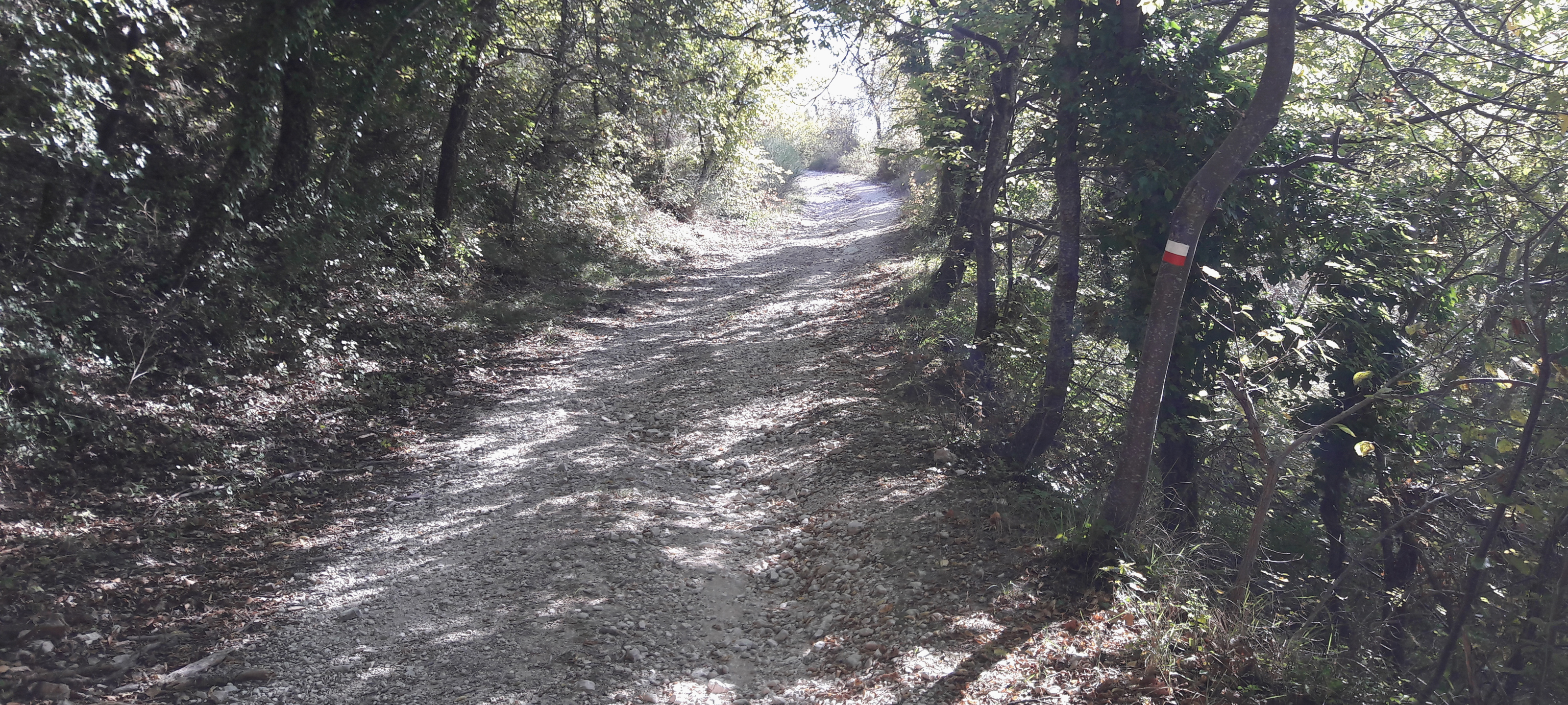 Gola del Furlo Sentiero 452 - immagine 10