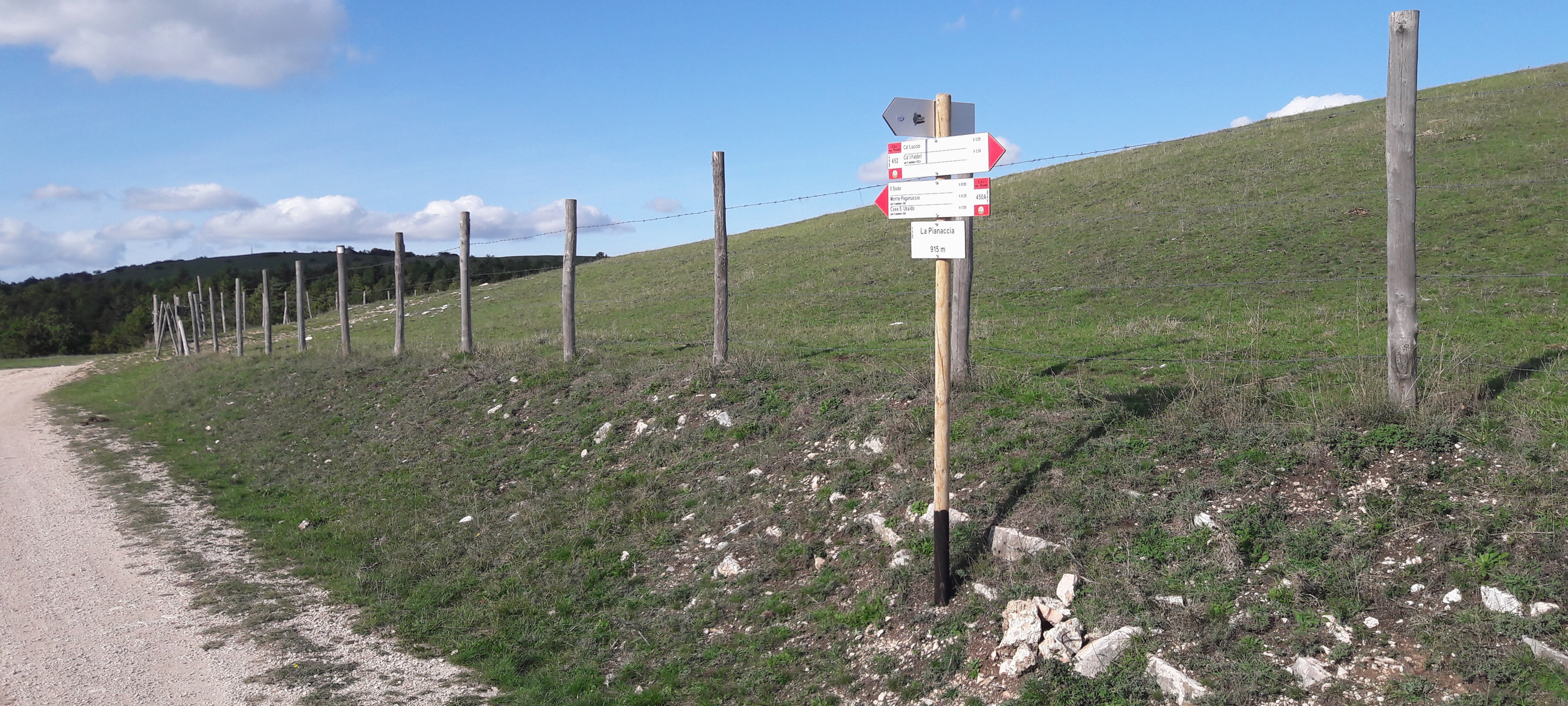 Gola del Furlo Sentiero 452 - immagine 14