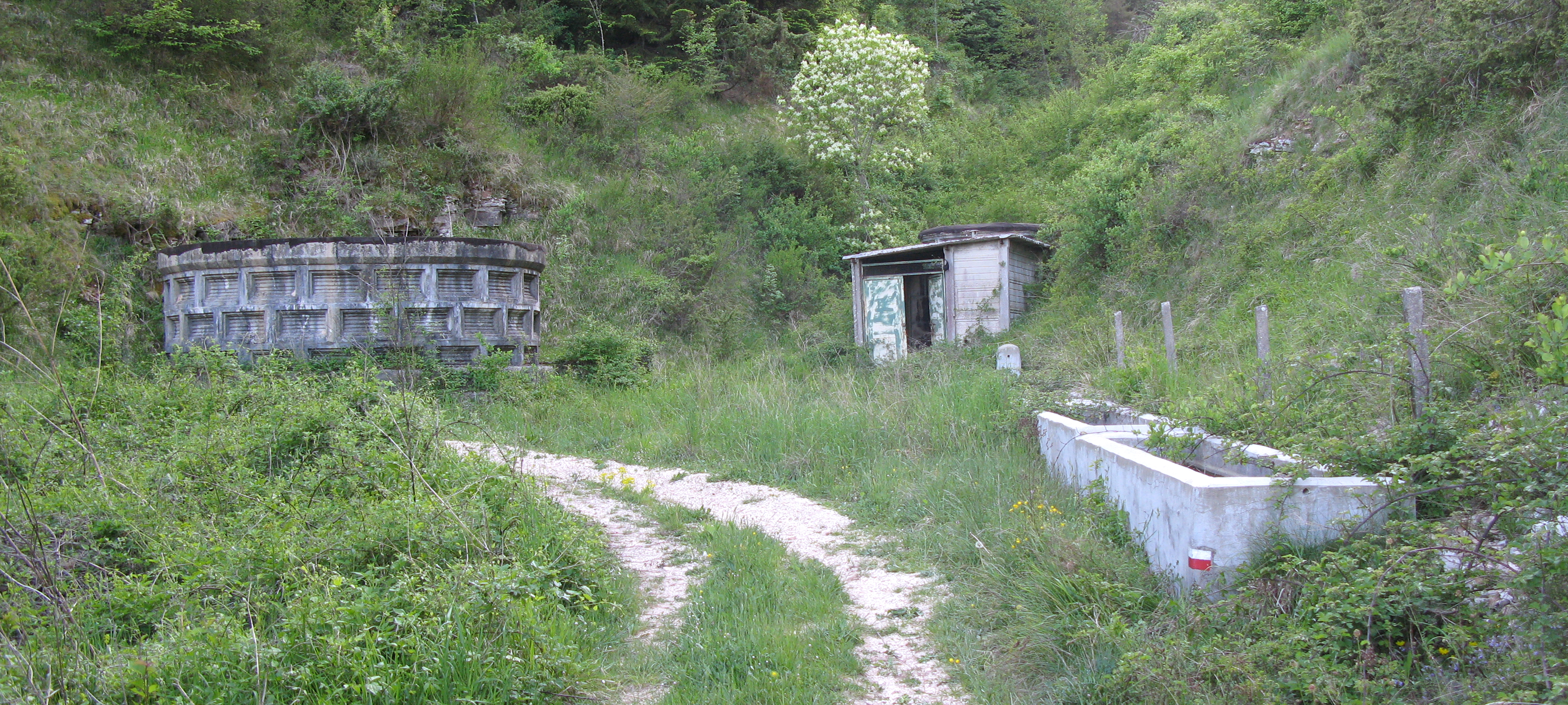 Gola del Furlo Sentiero 452A - immagine 2