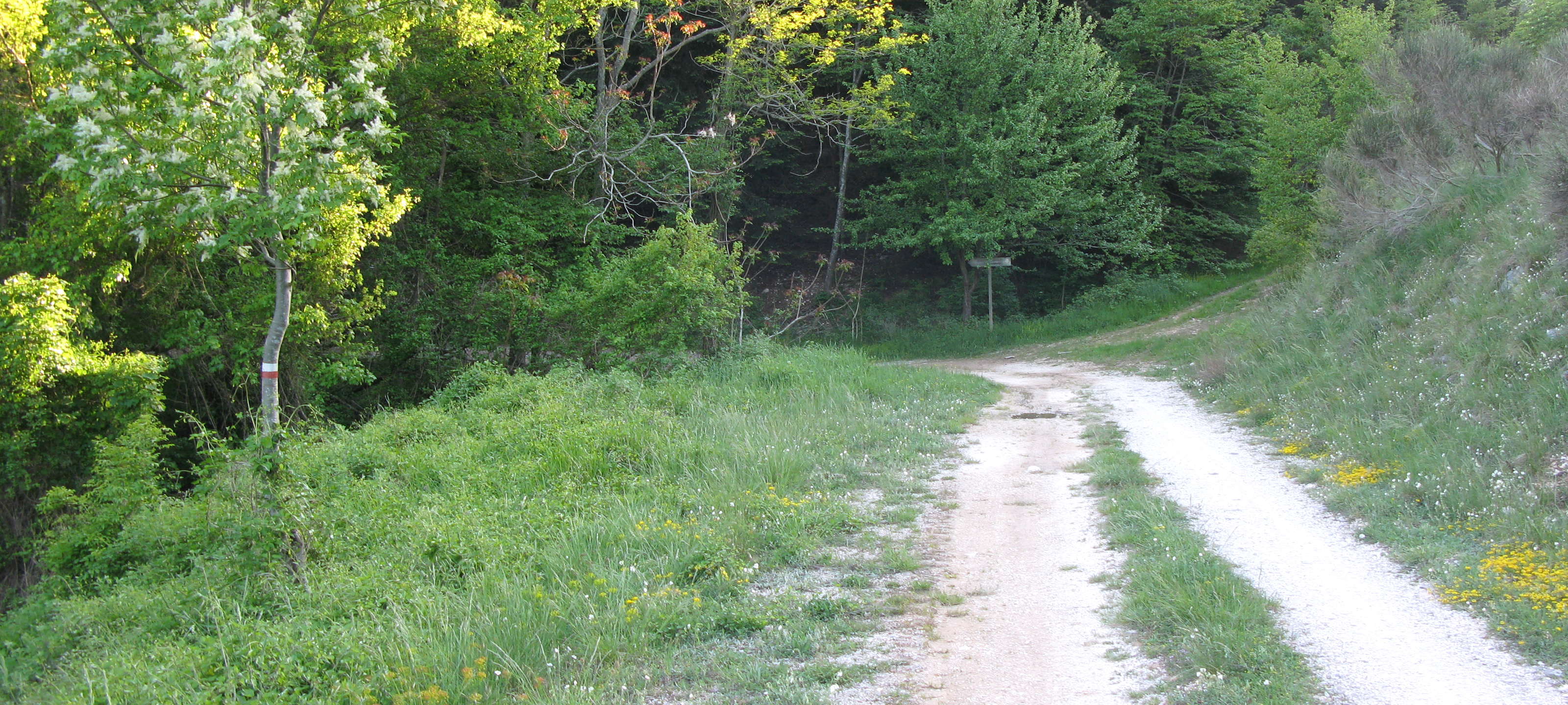 Gola del Furlo Sentiero 452A - immagine 3