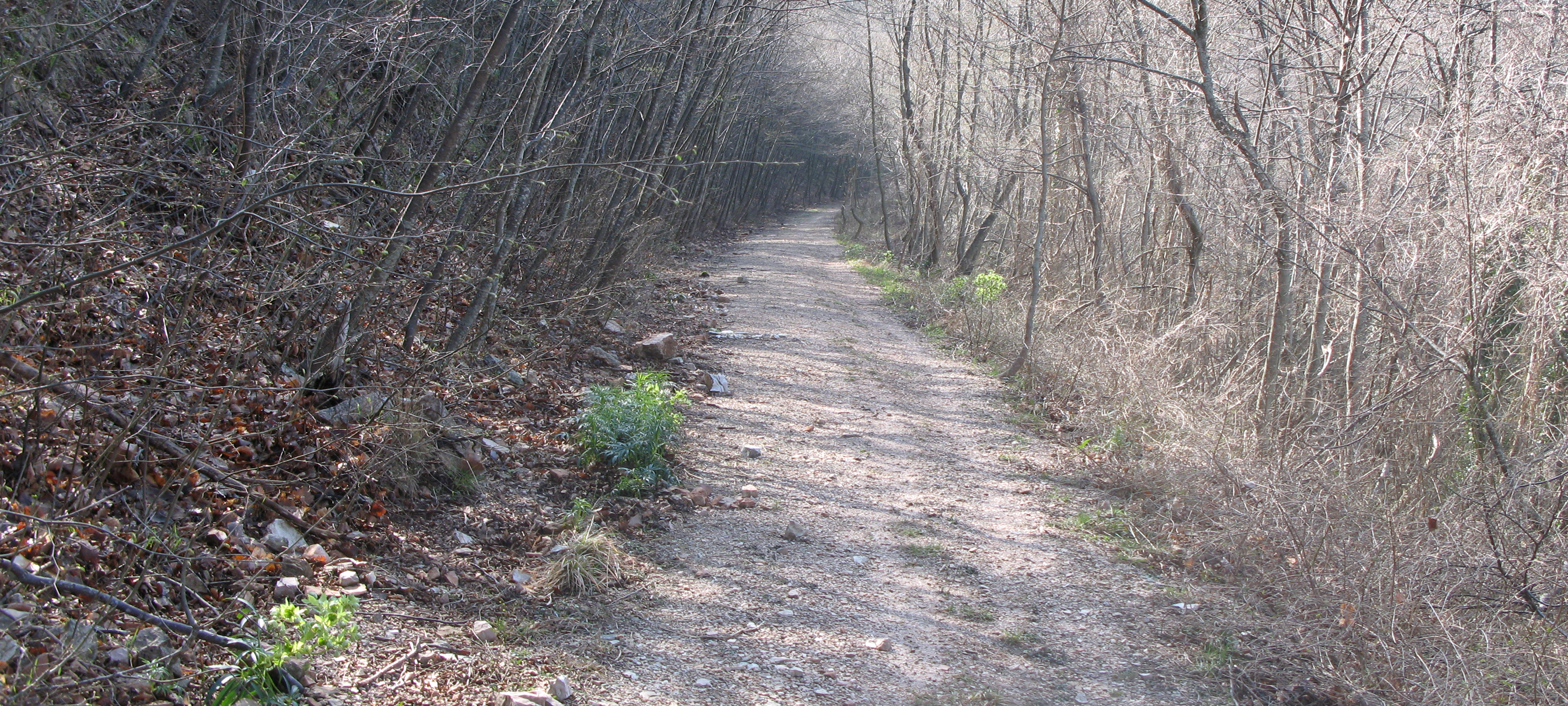 Gola del Furlo Sentiero 452A - immagine 5