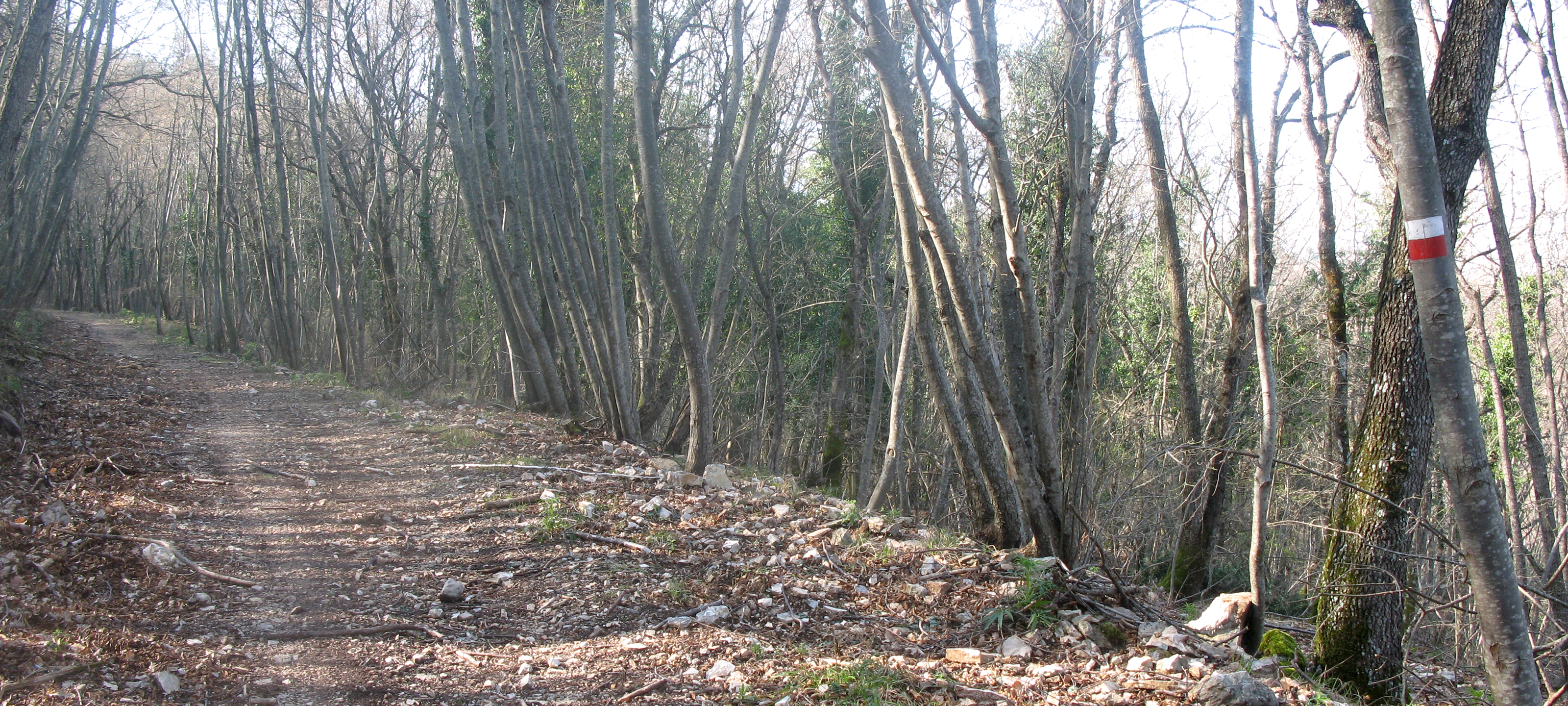 Gola del Furlo Sentiero 452A - immagine 8