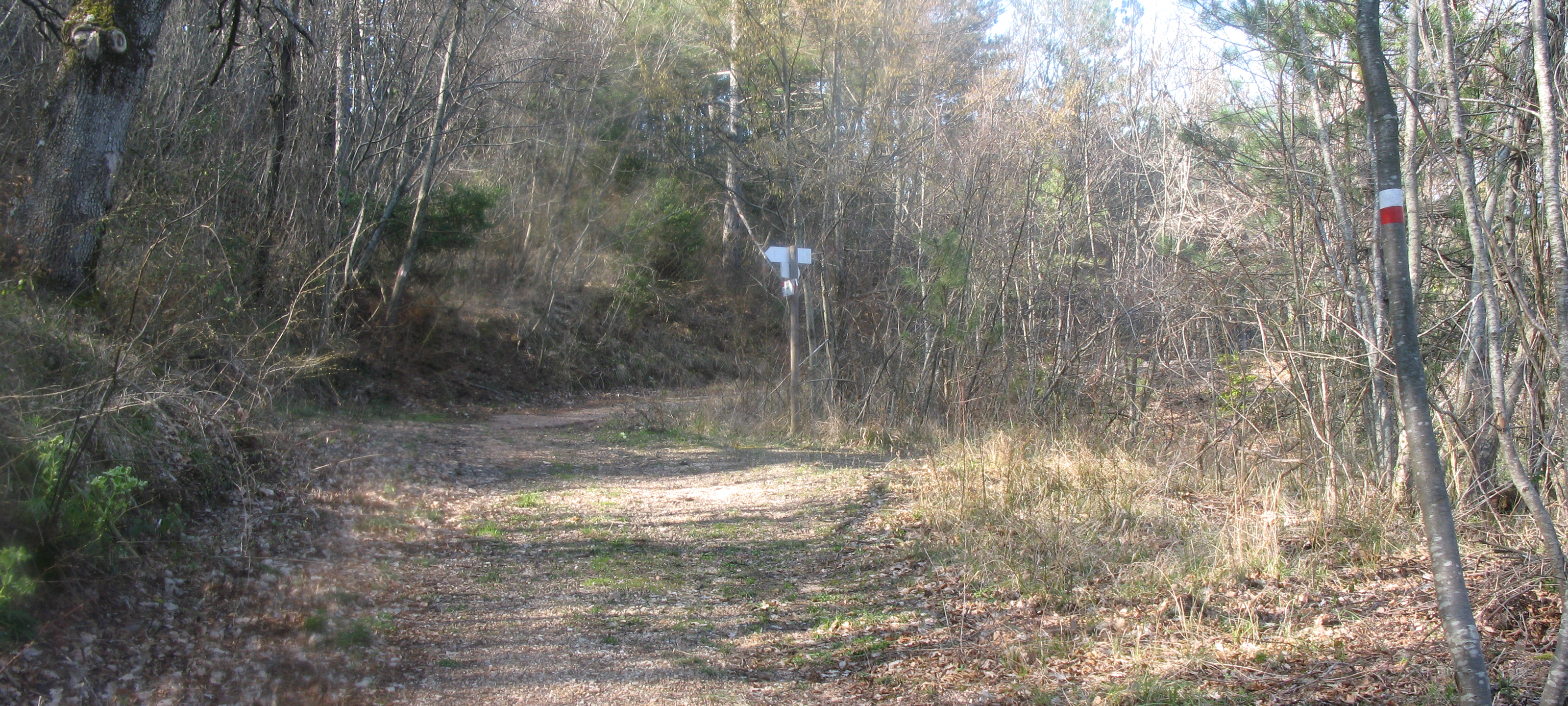 Gola del Furlo Sentiero 452A - immagine 9