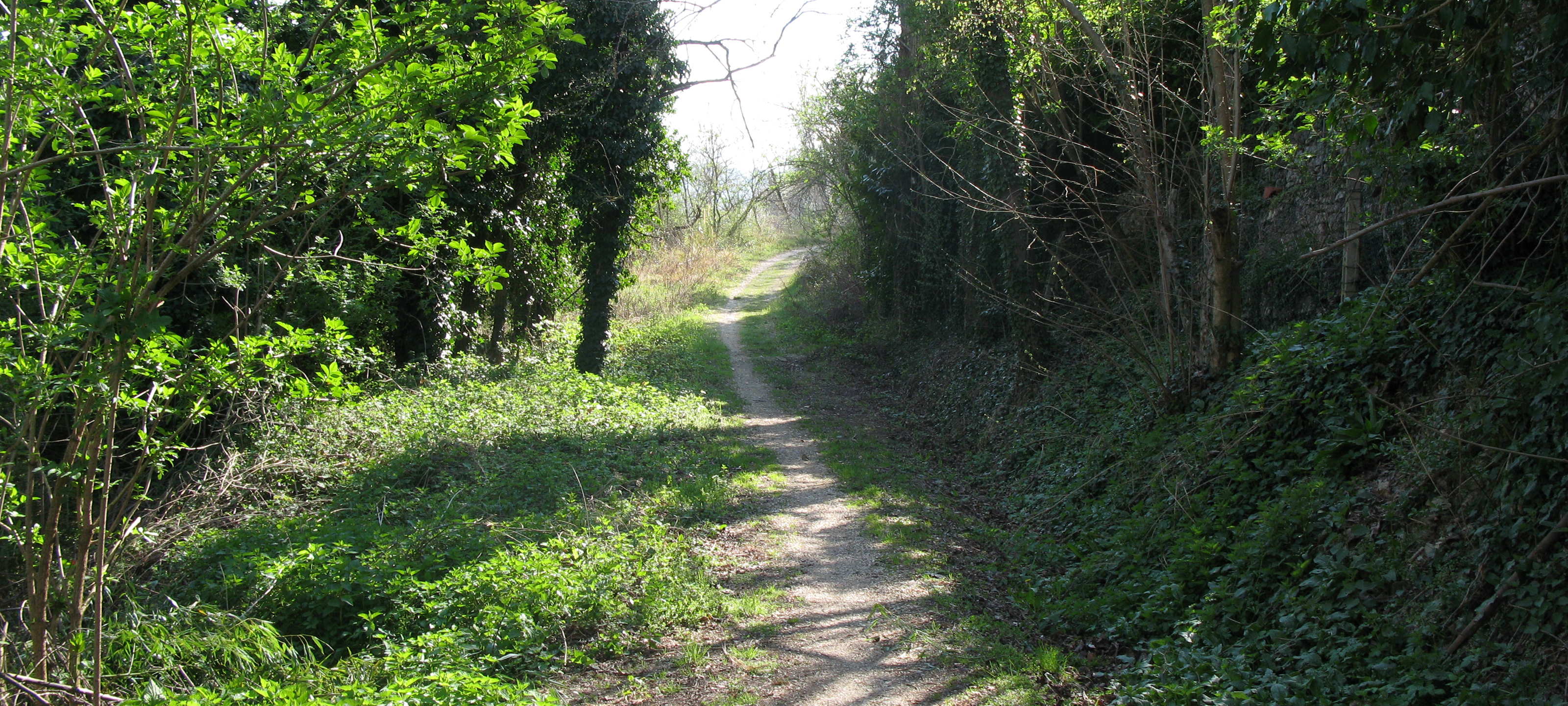 Monte di Montiego Sentiero 461 - immagine 2