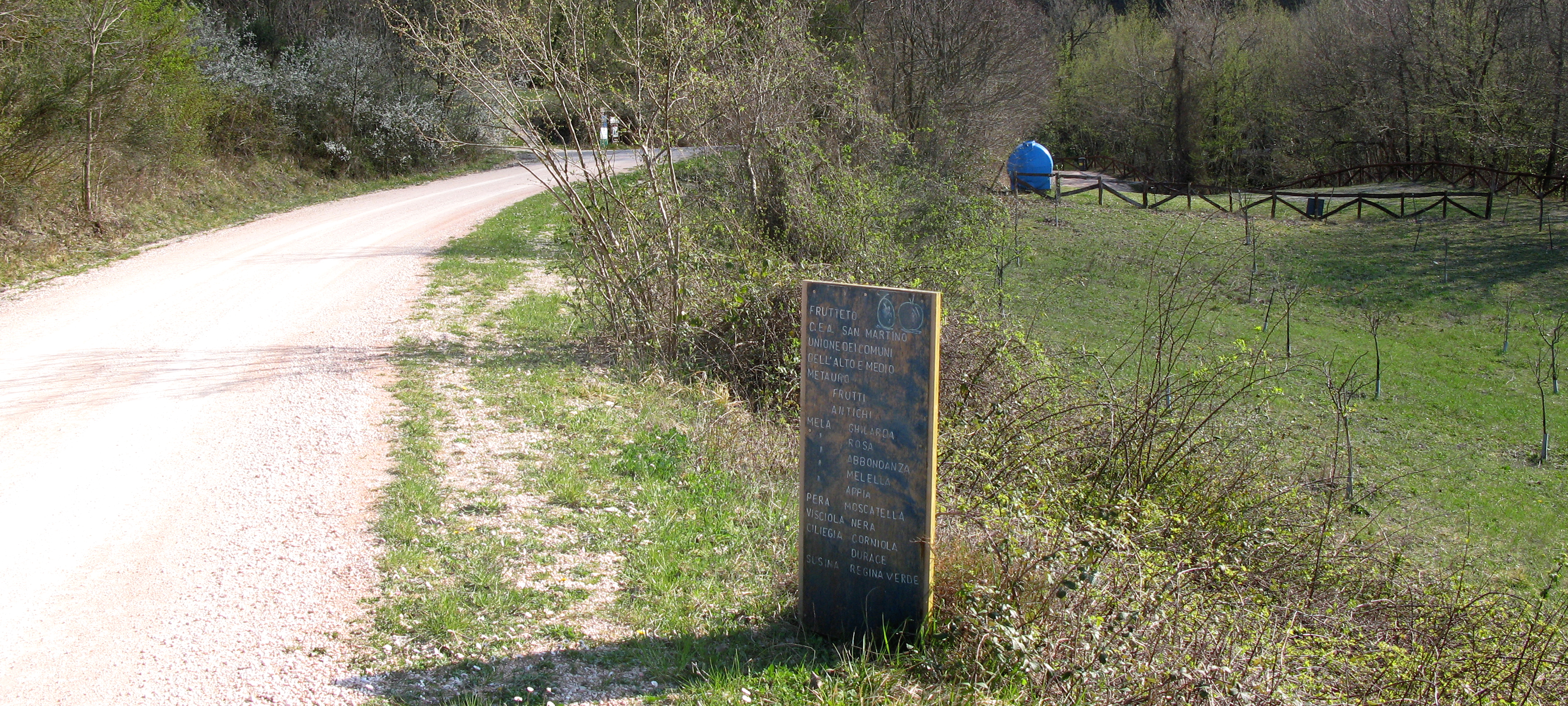 Monte di Montiego Sentiero 461 - immagine 6