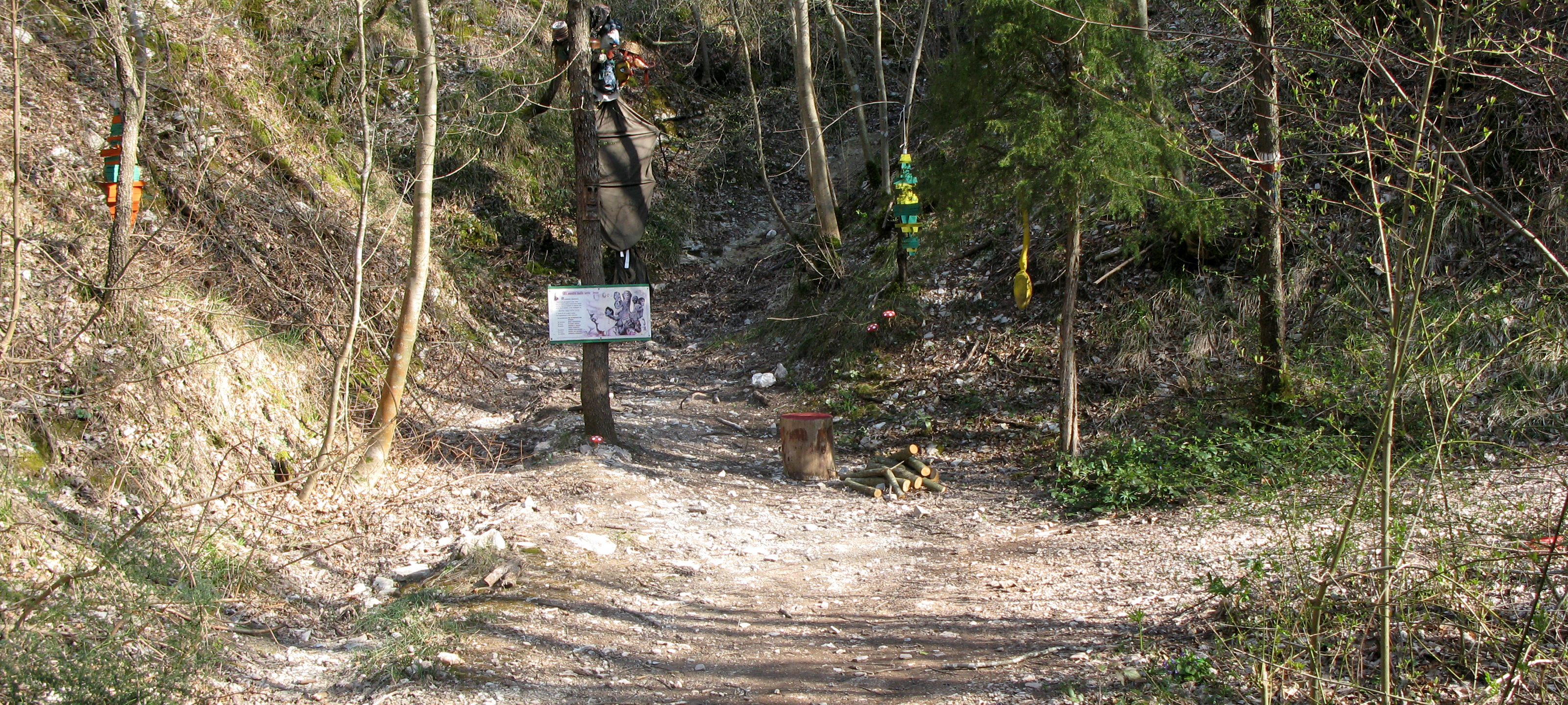 Monte di Montiego Sentiero 461 - immagine 8 (Bosco dei Folletti)