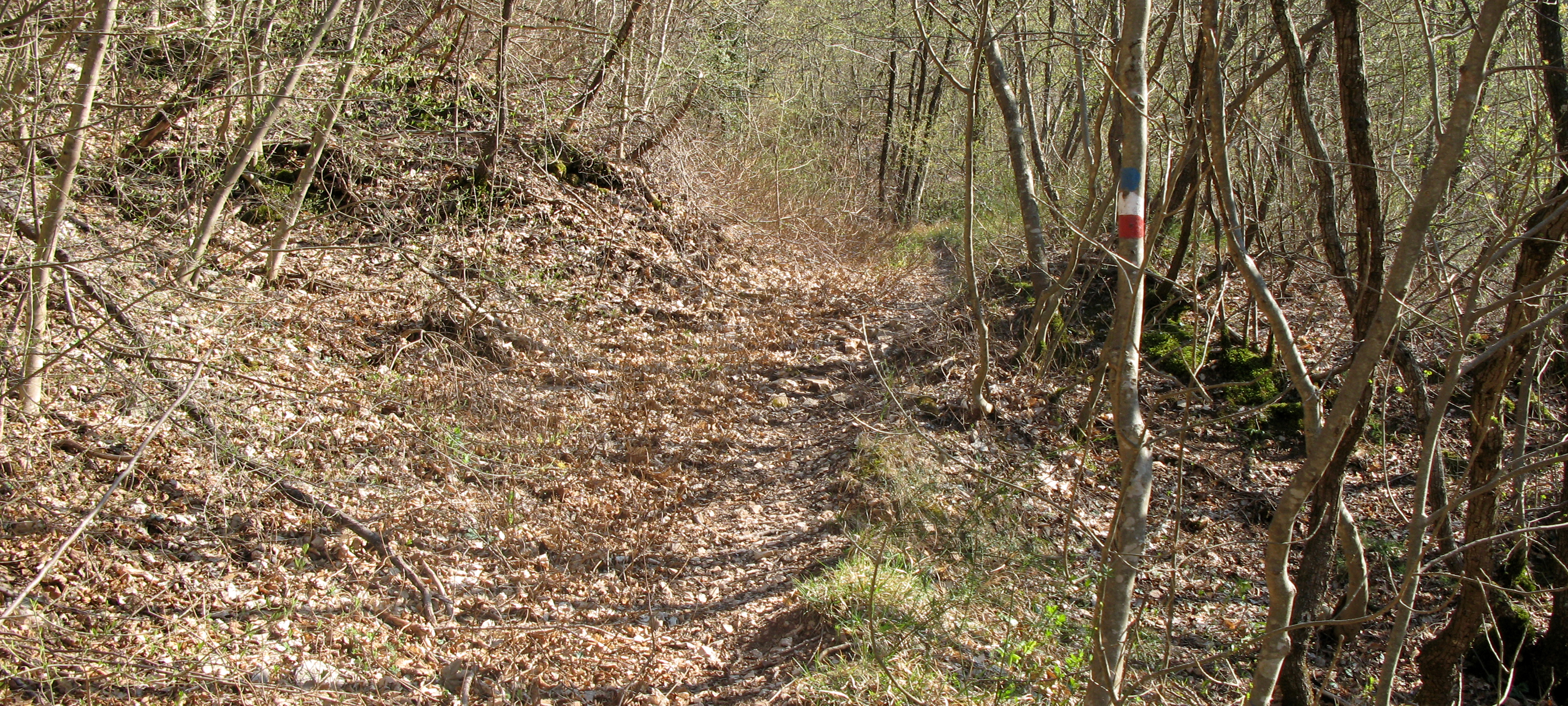 Monte di Montiego Sentiero 461 - immagine 10