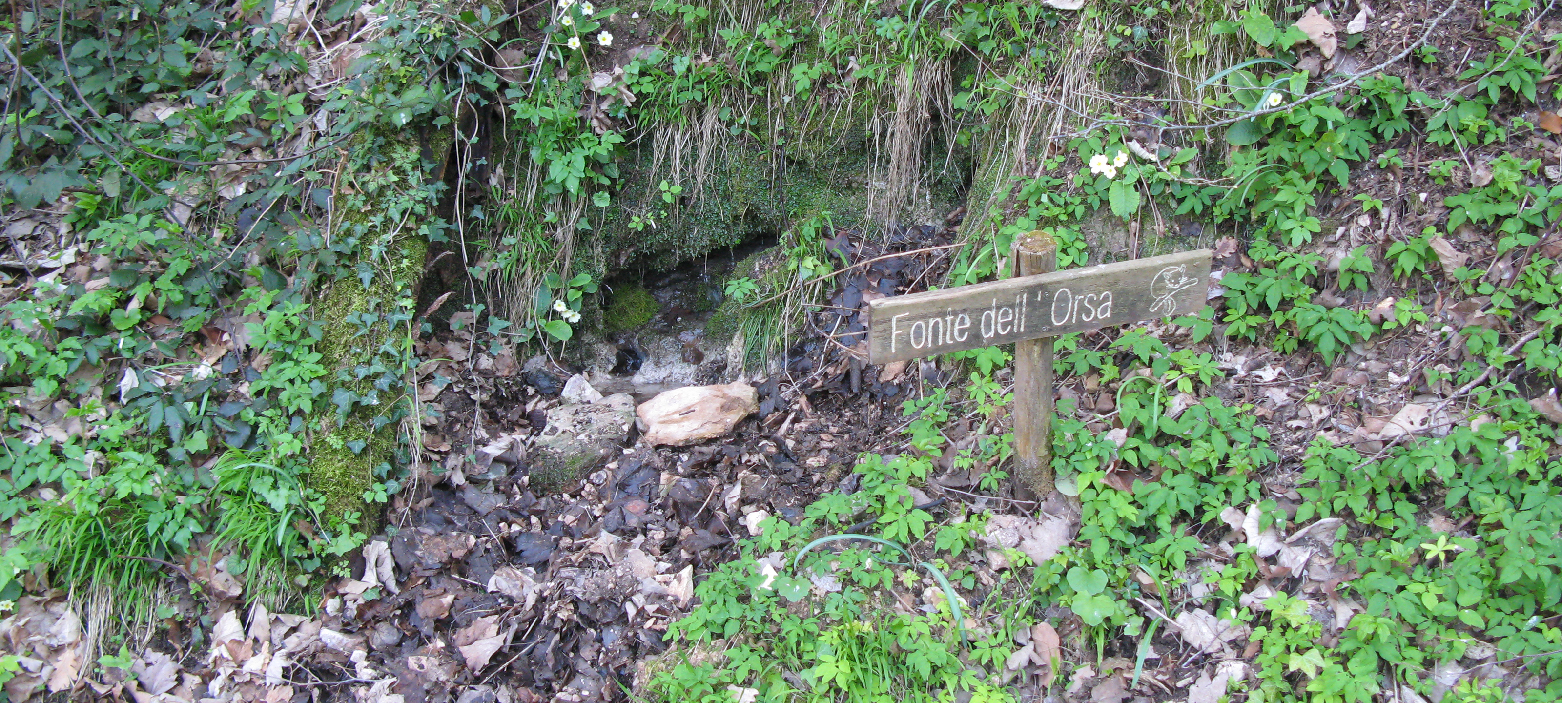 Monte di Montiego Sentiero 461 - immagine 11