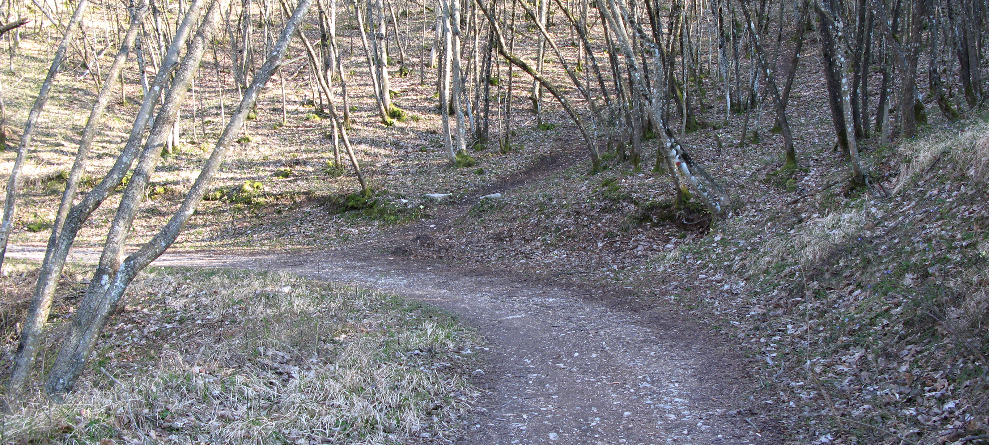 Monte di Montiego Sentiero 461 - immagine 12