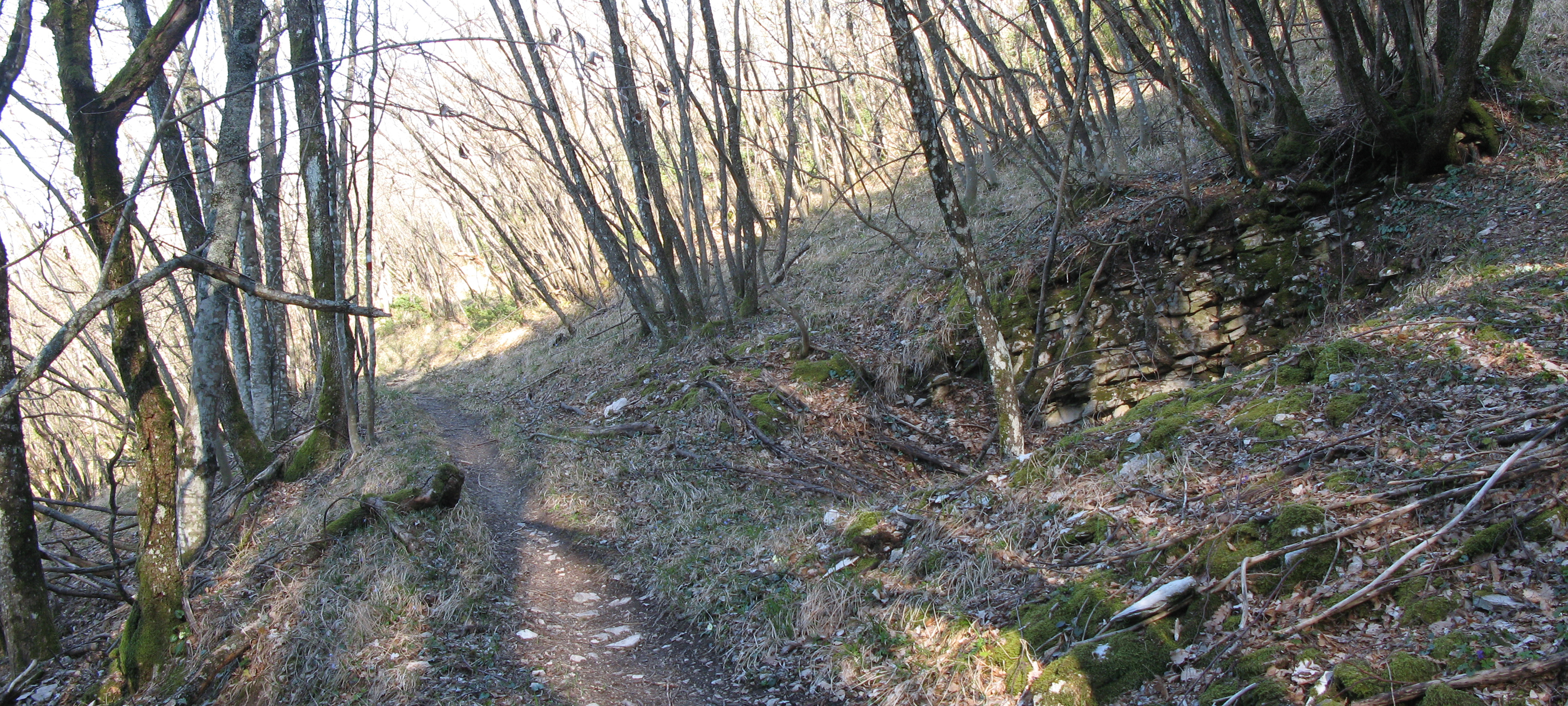 Monte di Montiego Sentiero 461 - immagine 13