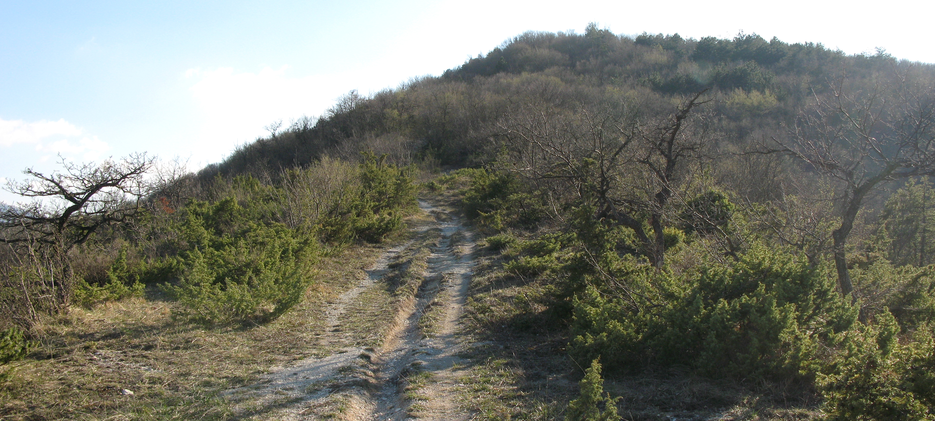 Monte di Montiego Sentiero 461 - immagine 14