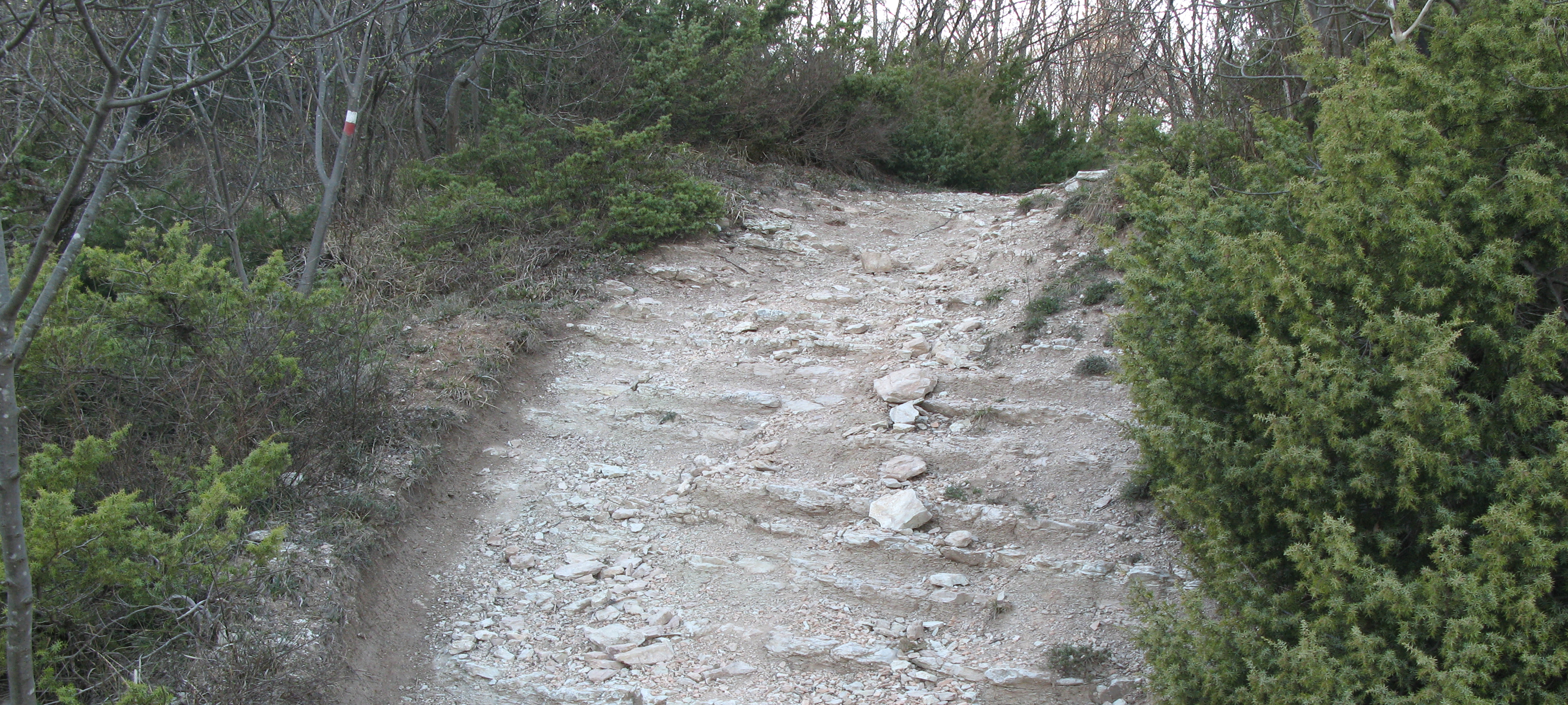 Monte di Montiego Sentiero 461 - immagine 15