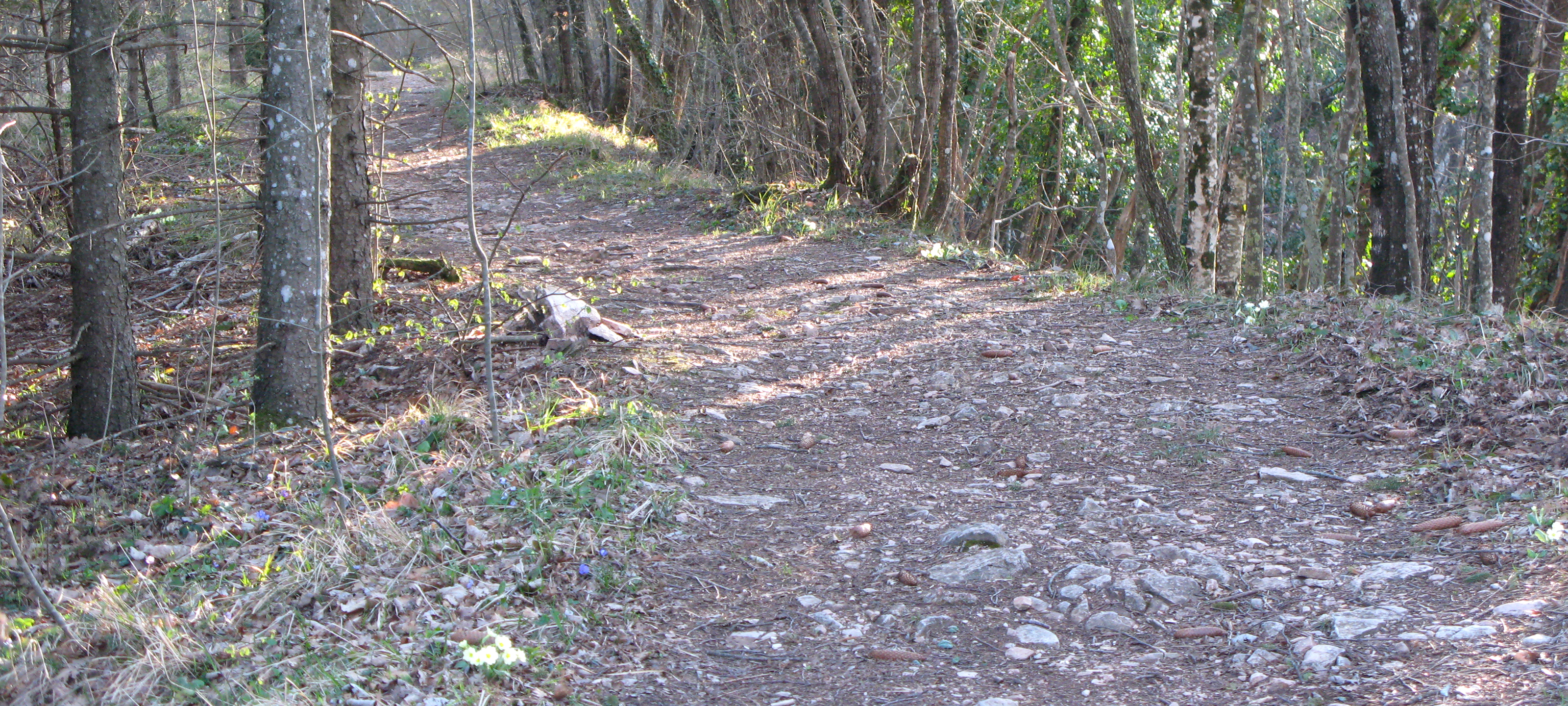 Monte di Montiego Sentiero 461 - immagine 16