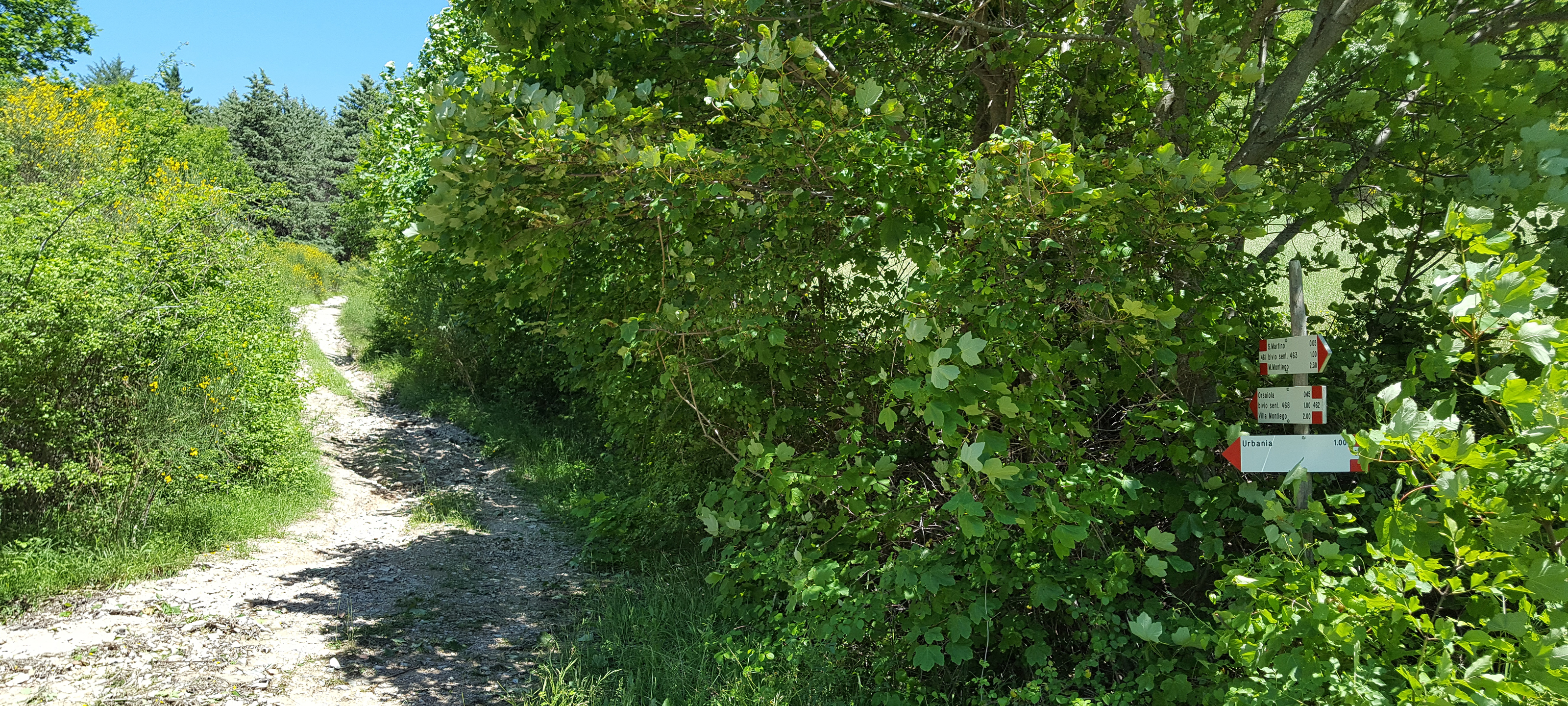 Monte di Montiego Sentiero 462 - immagine 1