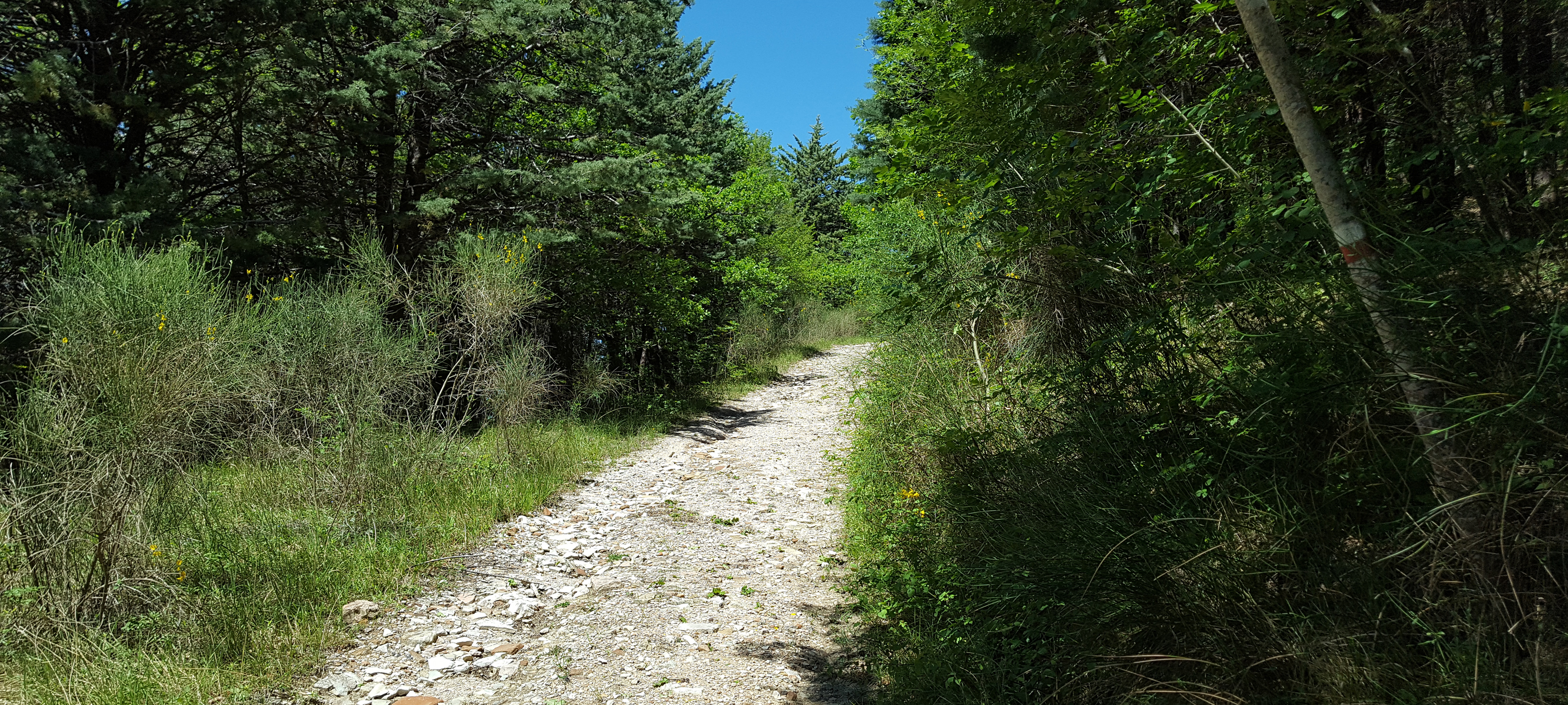 Monte di Montiego Sentiero 462 - immagine 2