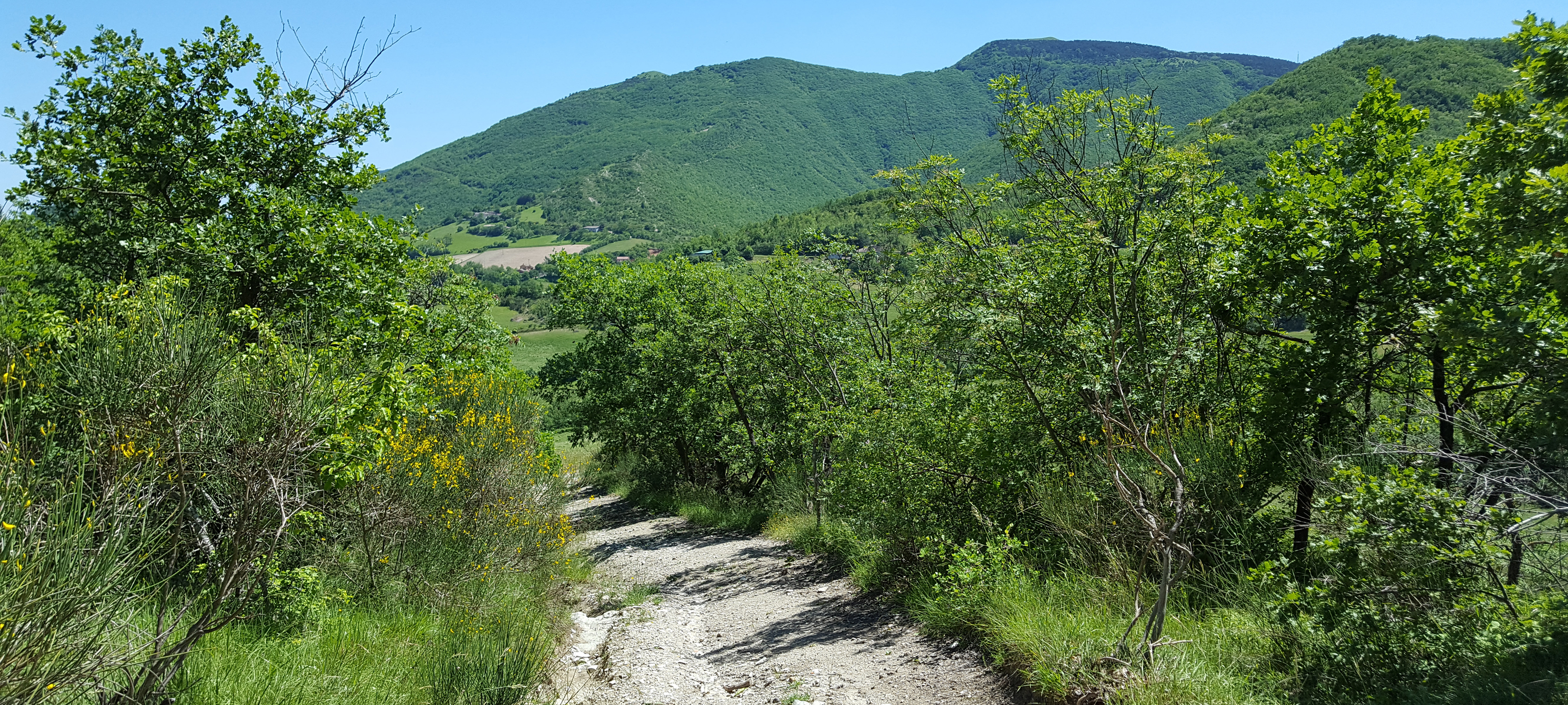 Monte di Montiego Sentiero 462 - immagine 3
