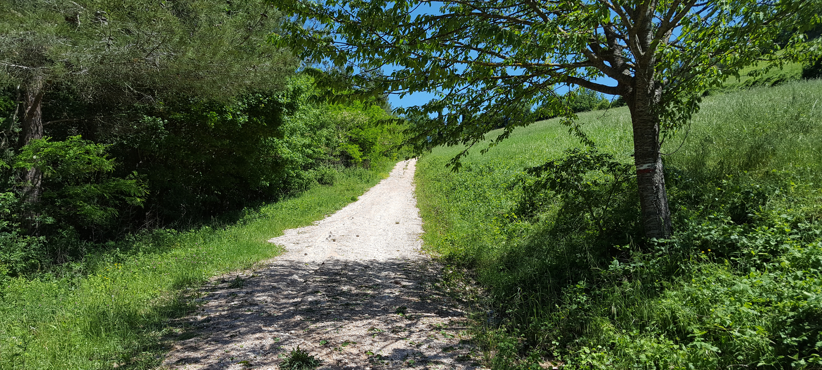 Monte di Montiego Sentiero 462 - immagine 4