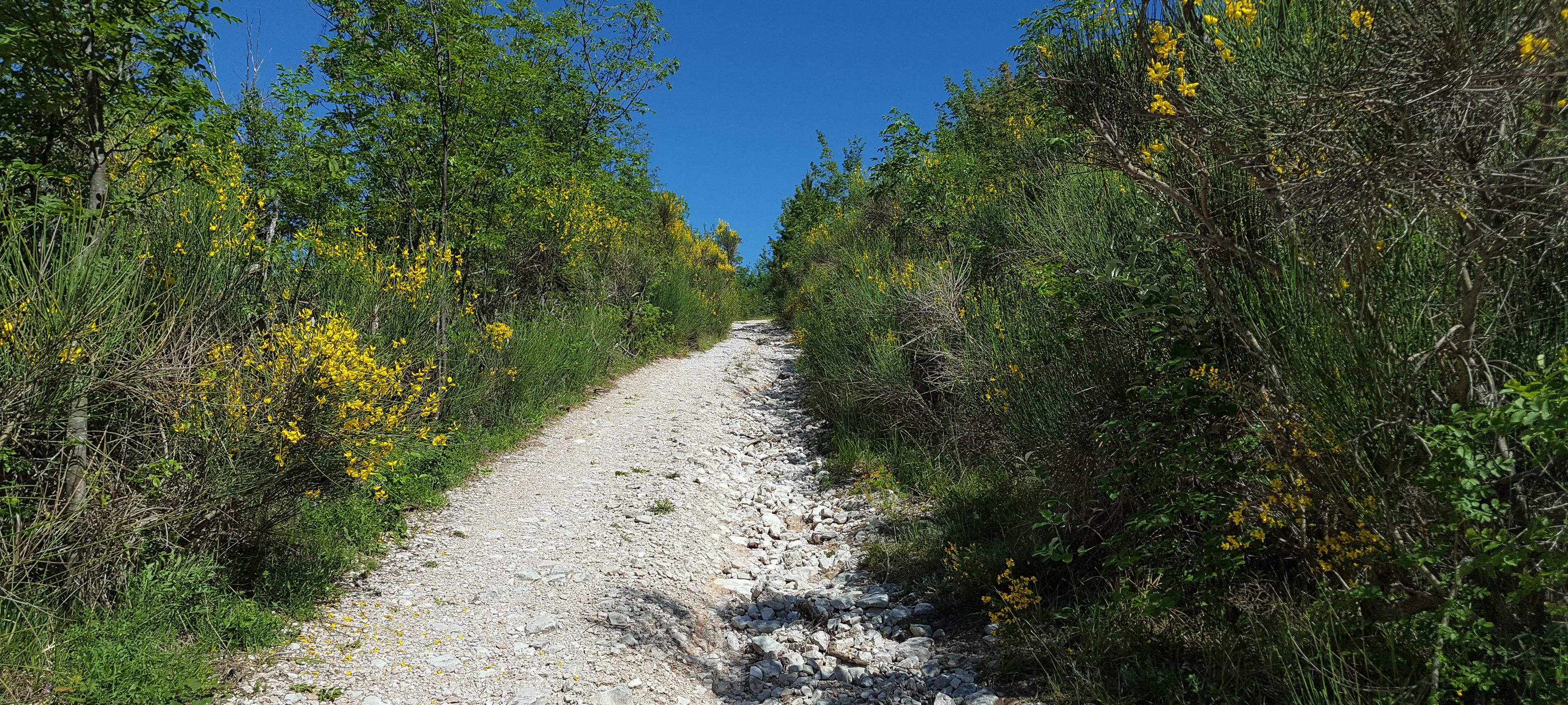 Monte di Montiego Sentiero 462 - immagine 8