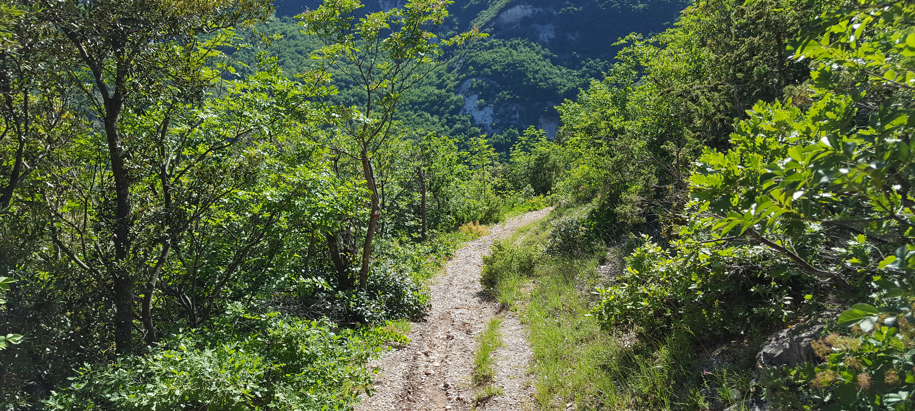 Monte di Montiego Sentiero 462 - immagine 10