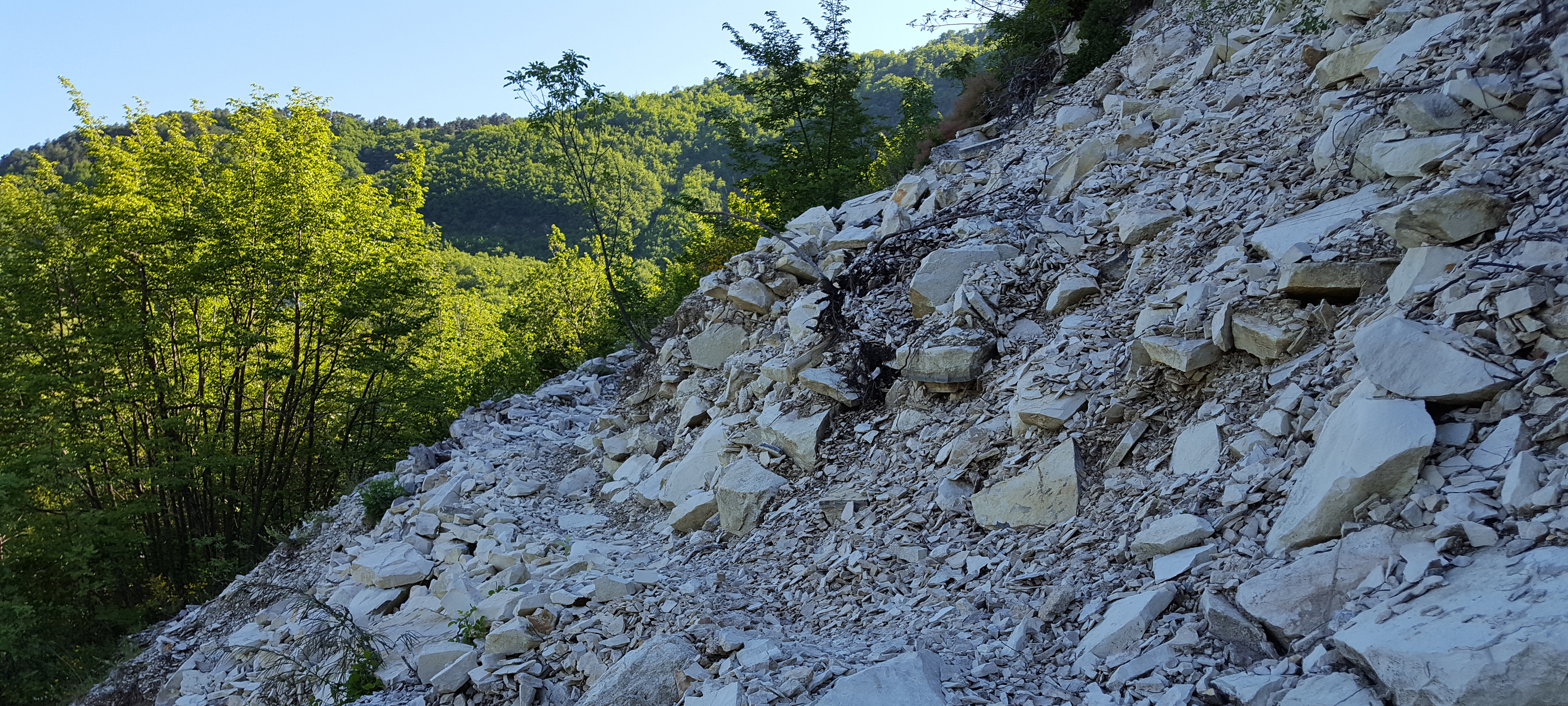 Monte di Montiego Sentiero 462 - immagine 11