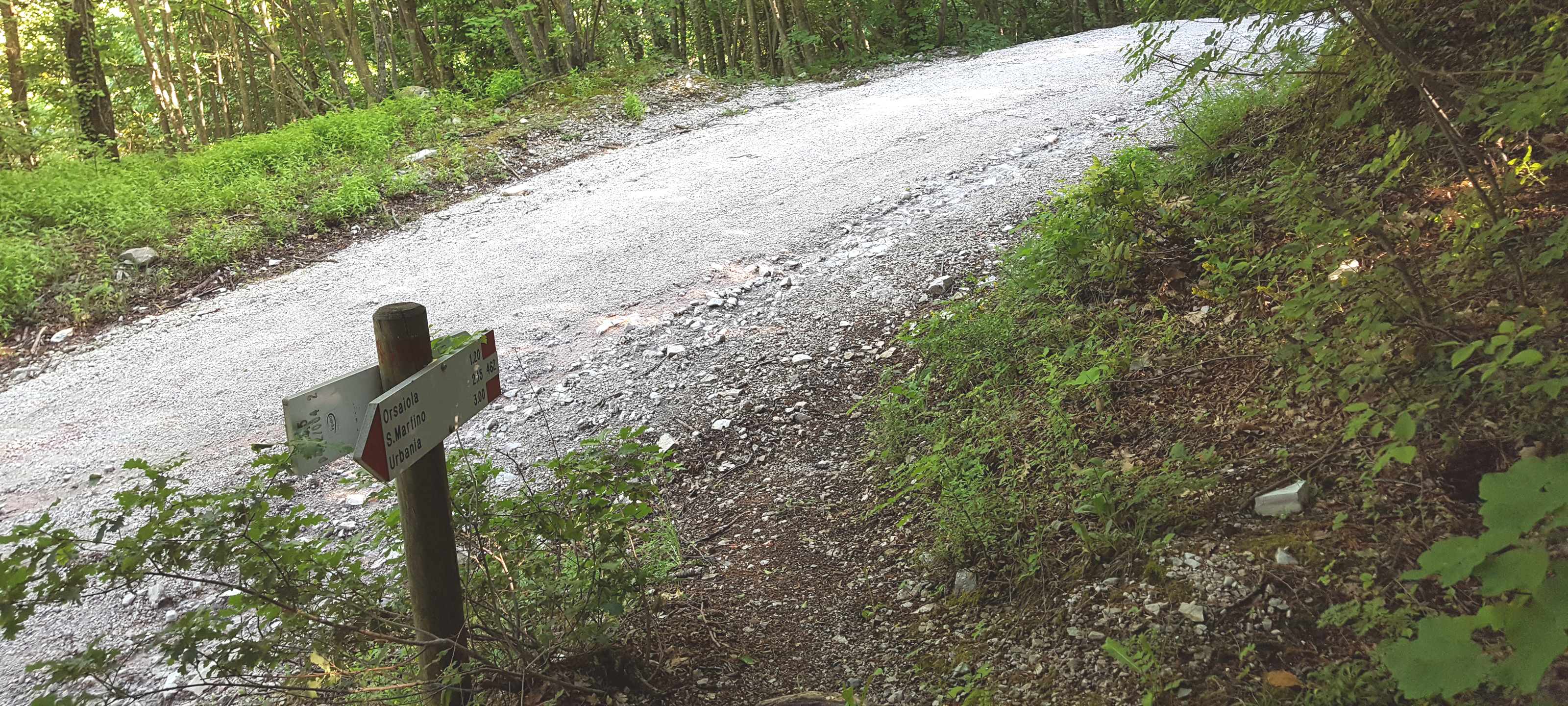 Monte di Montiego Sentiero 462 - immagine 12
