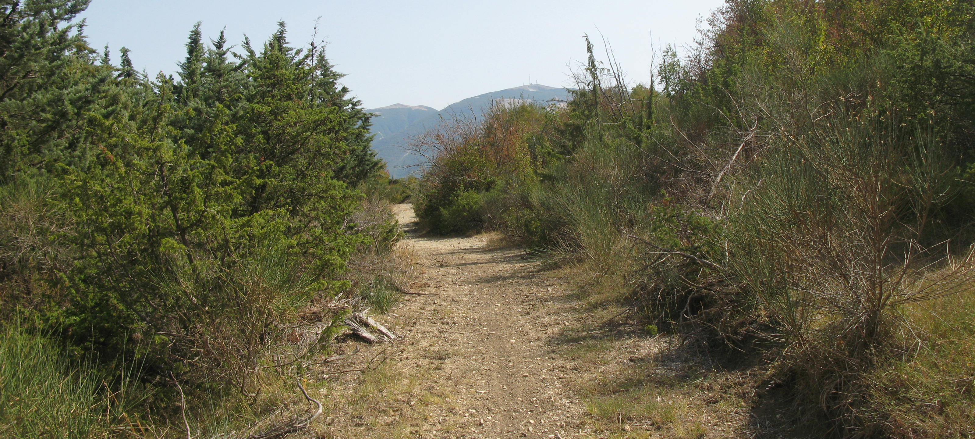 Monte di Montiego Sentiero 463 - immagine 3