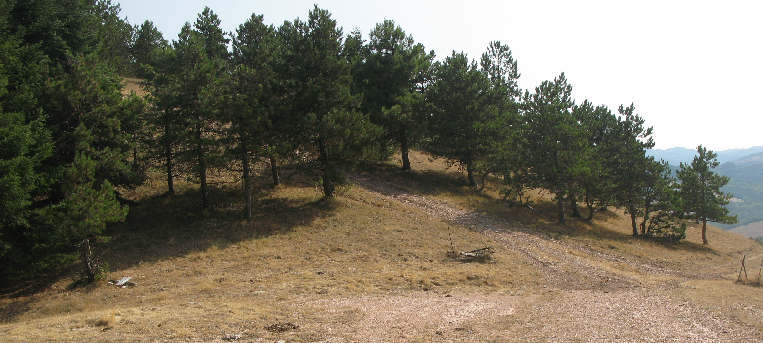Monte di Montiego Sentiero 463 - immagine 5