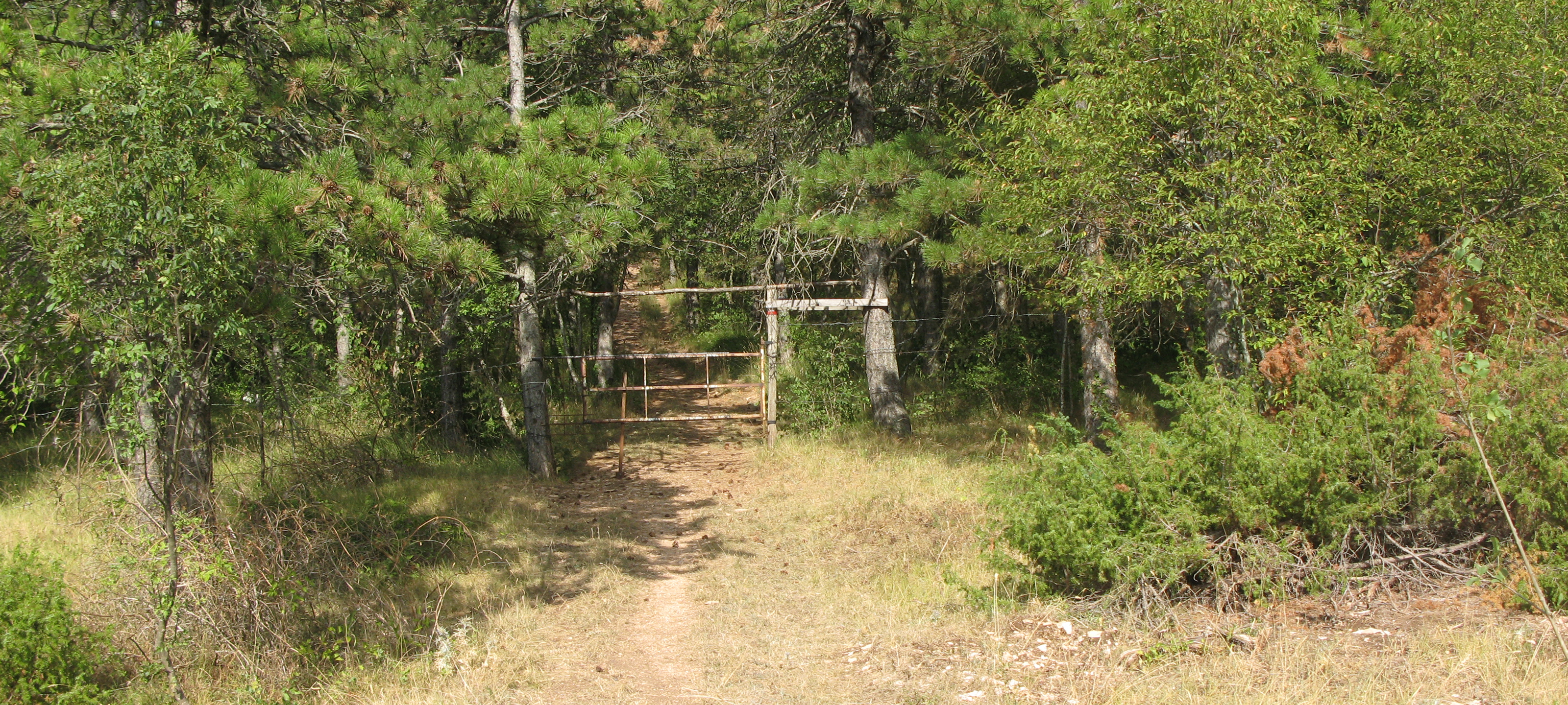 Monte di Montiego Sentiero 463 - immagine 6