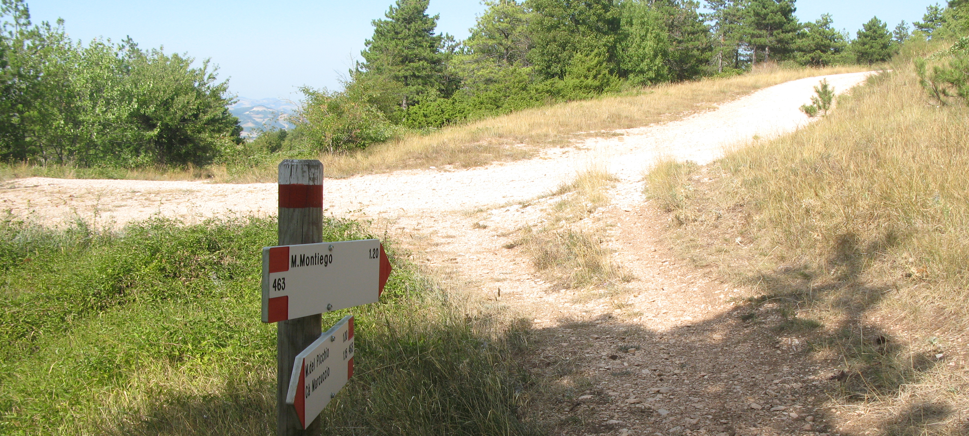 Monte di Montiego Sentiero 463 - immagine 7