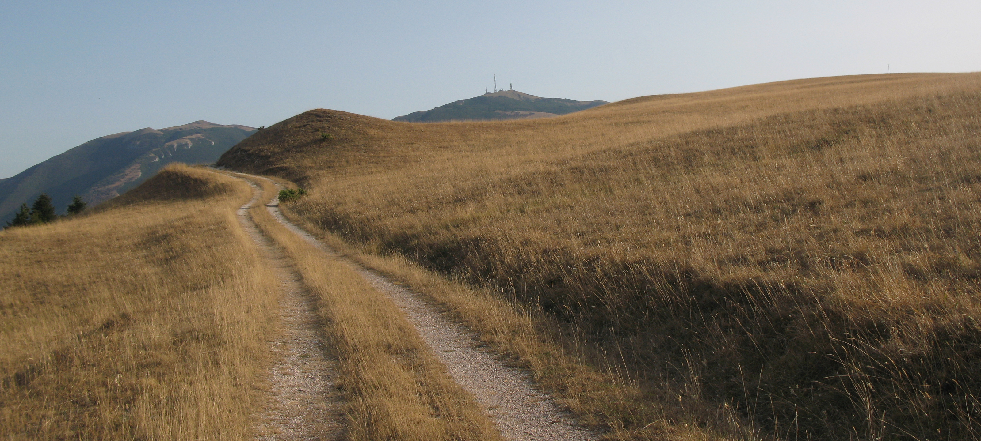 Monte di Montiego Sentiero 463 - immagine 12