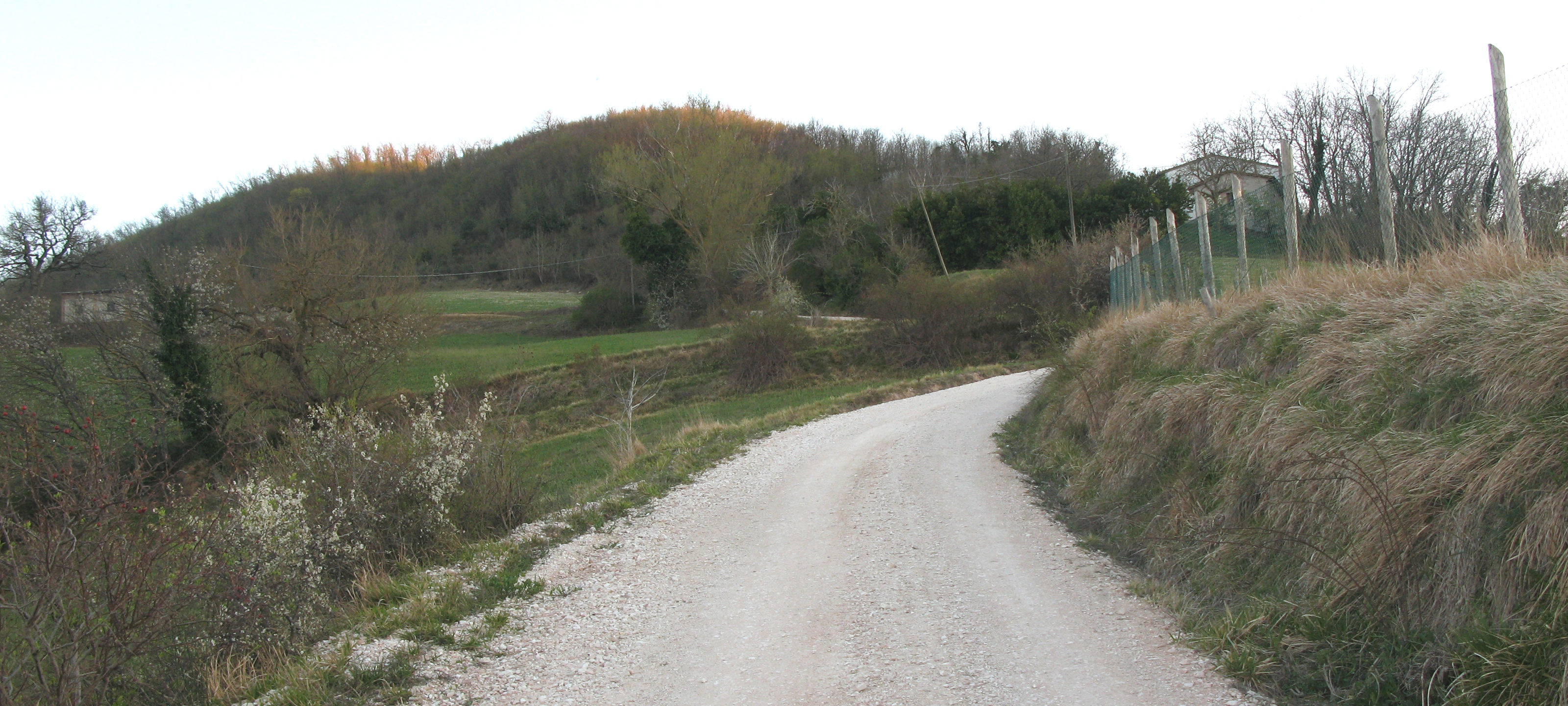 Monte di Montiego Sentiero 465 - immagine 5