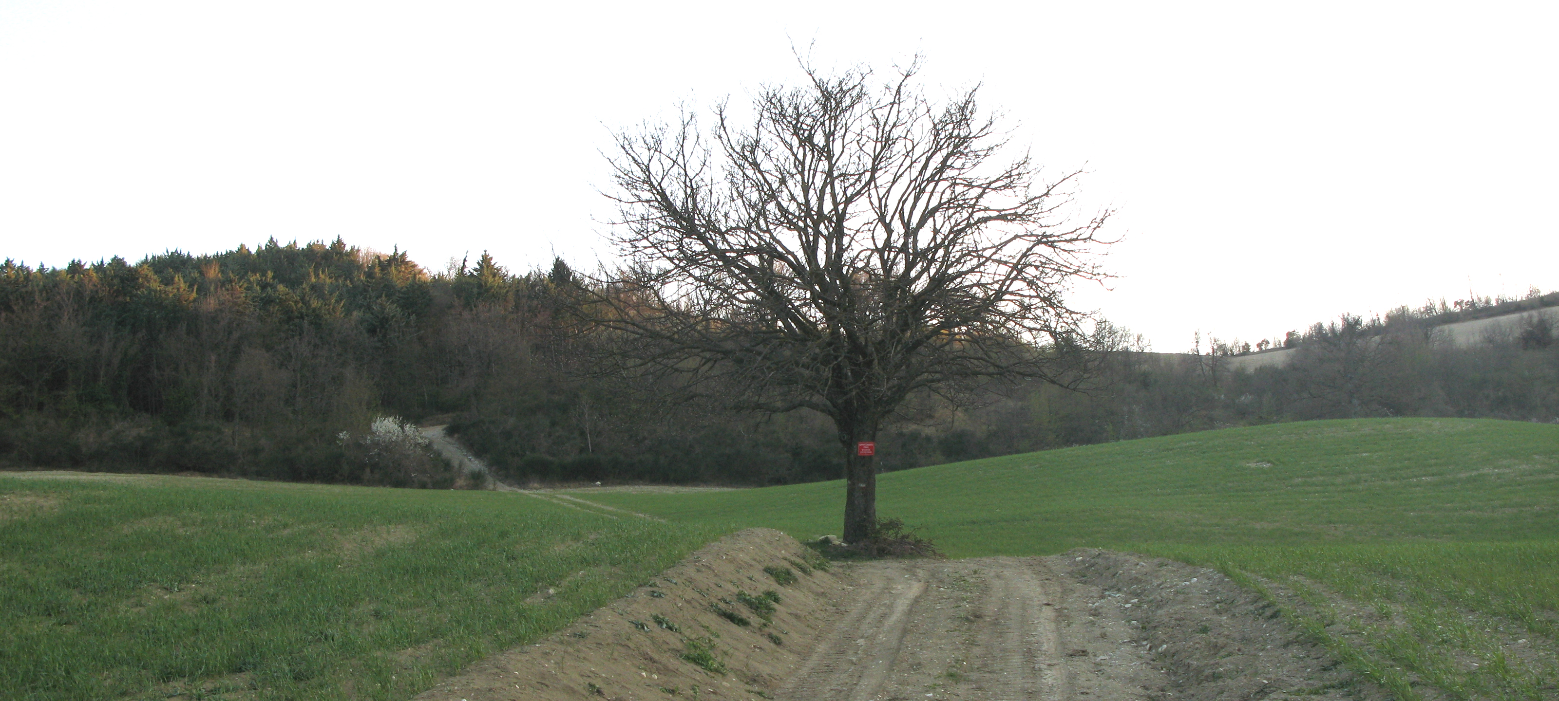 Monte di Montiego Sentiero 465 - immagine 6