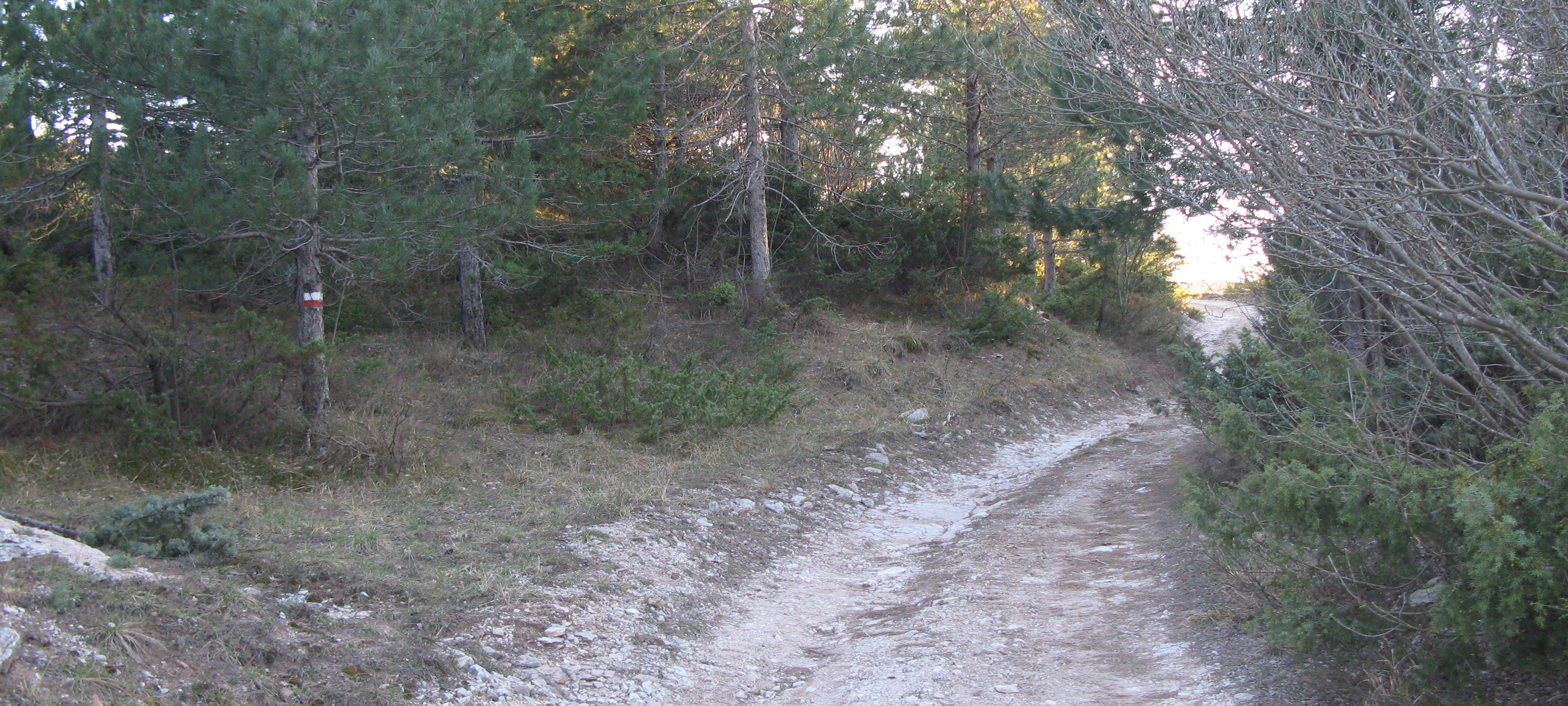 Monte di Montiego Sentiero 465 - immagine 8