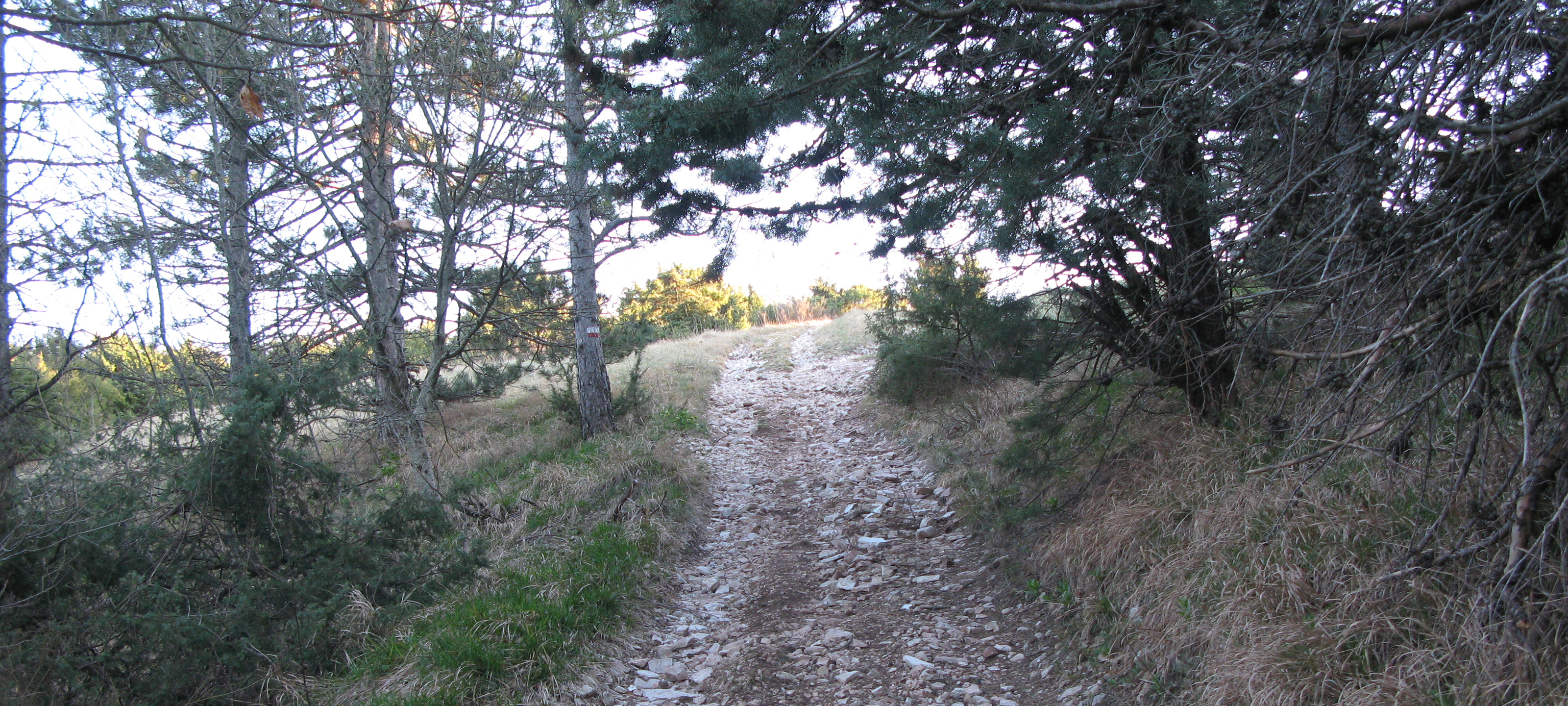Monte di Montiego Sentiero 465 - immagine 9