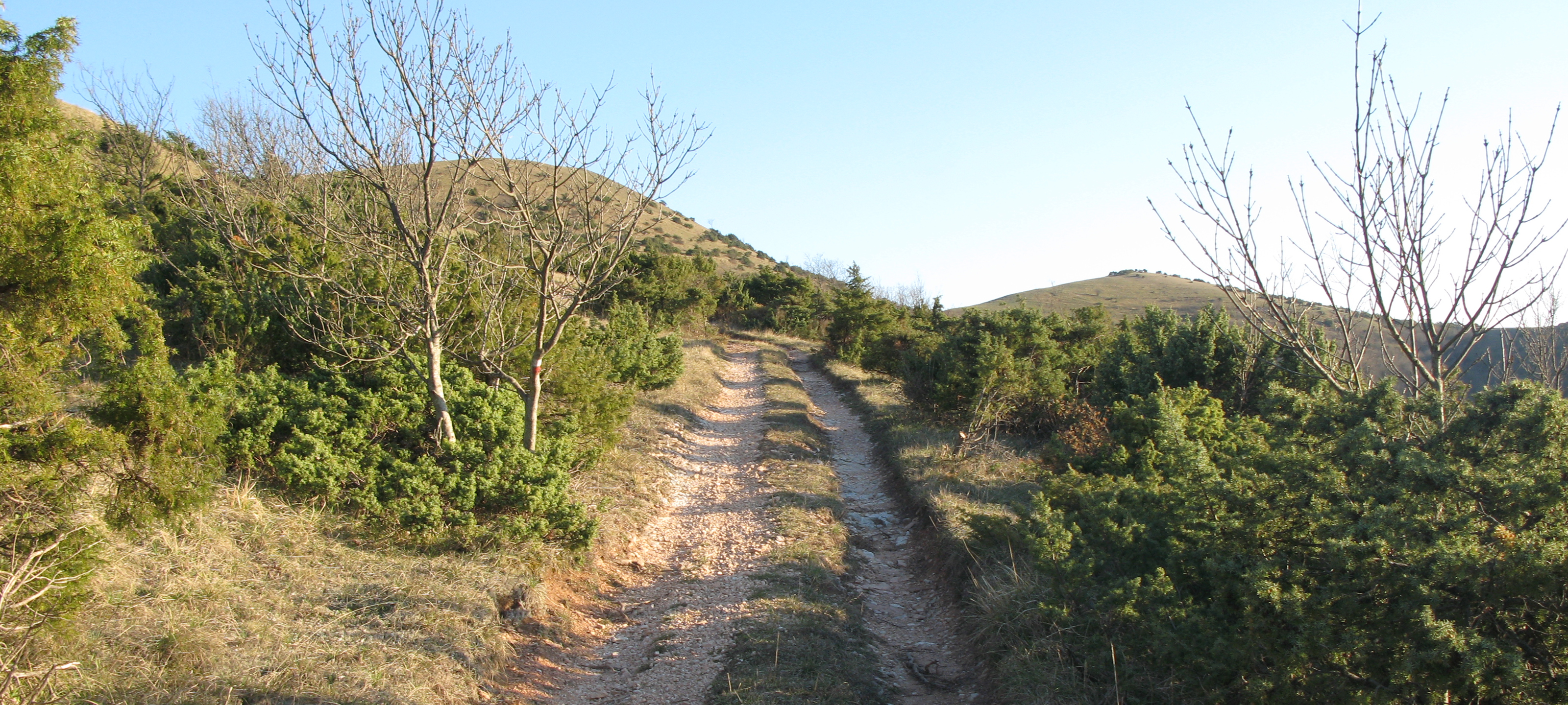 Monte di Montiego Sentiero 465 - immagine 10