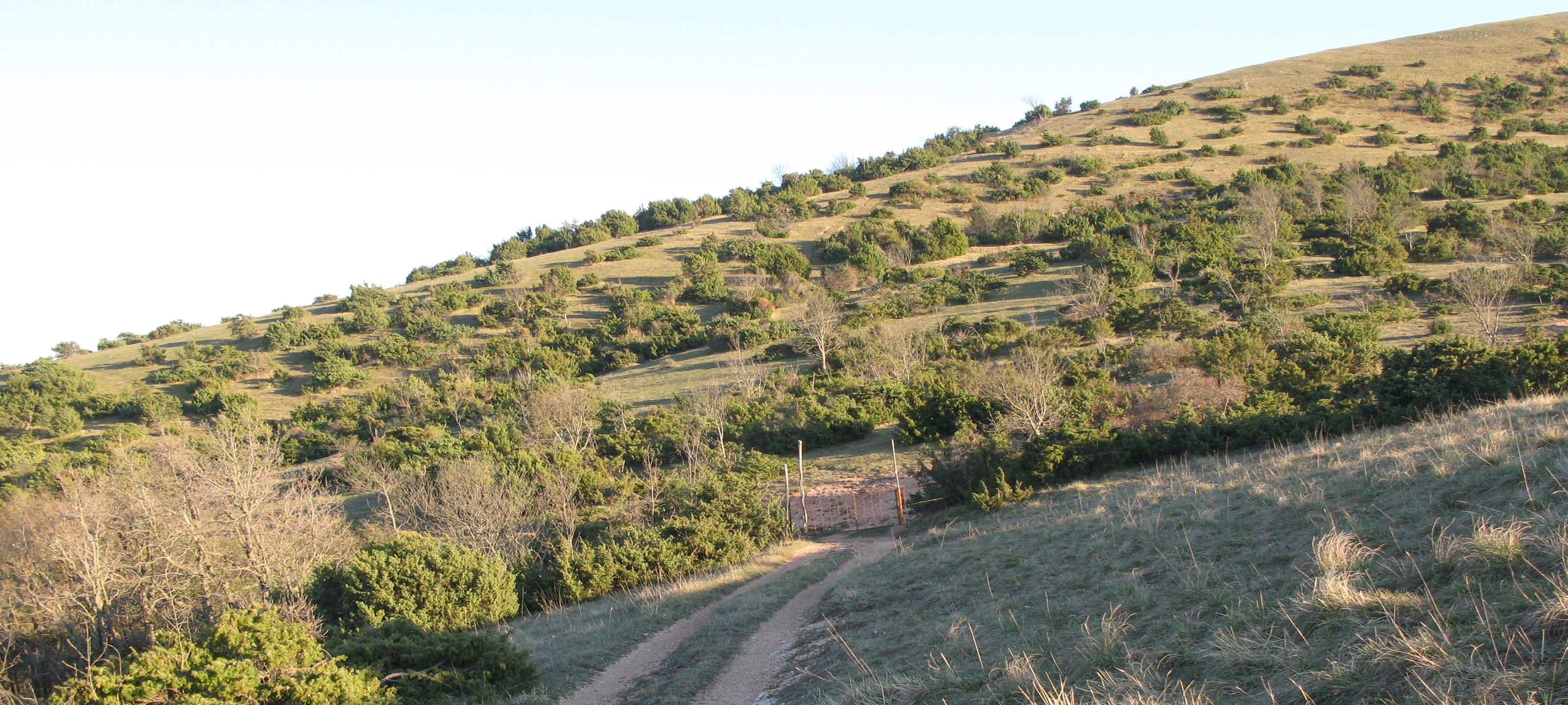 Monte di Montiego Sentiero 465 - immagine 11