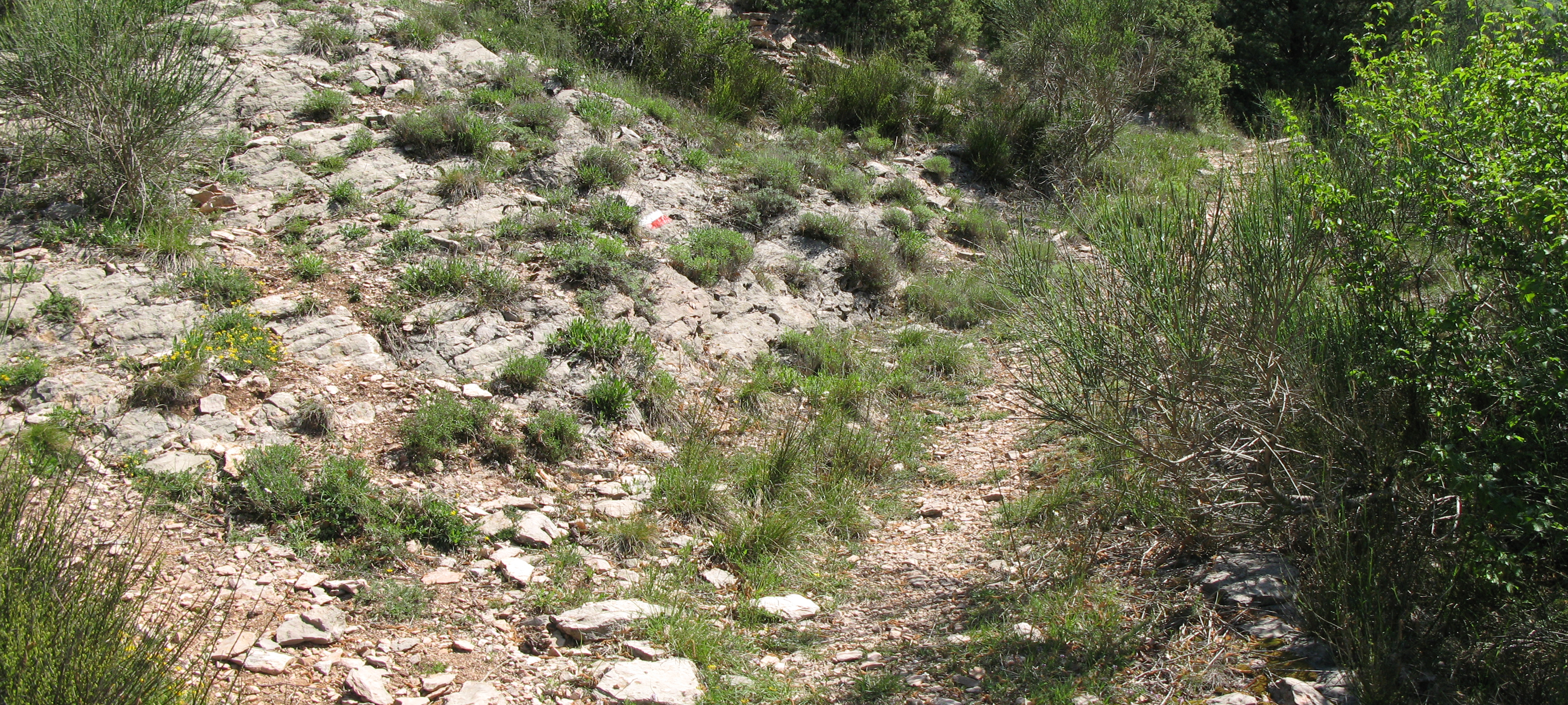 Monte di Montiego Sentiero 5 - immagine 3