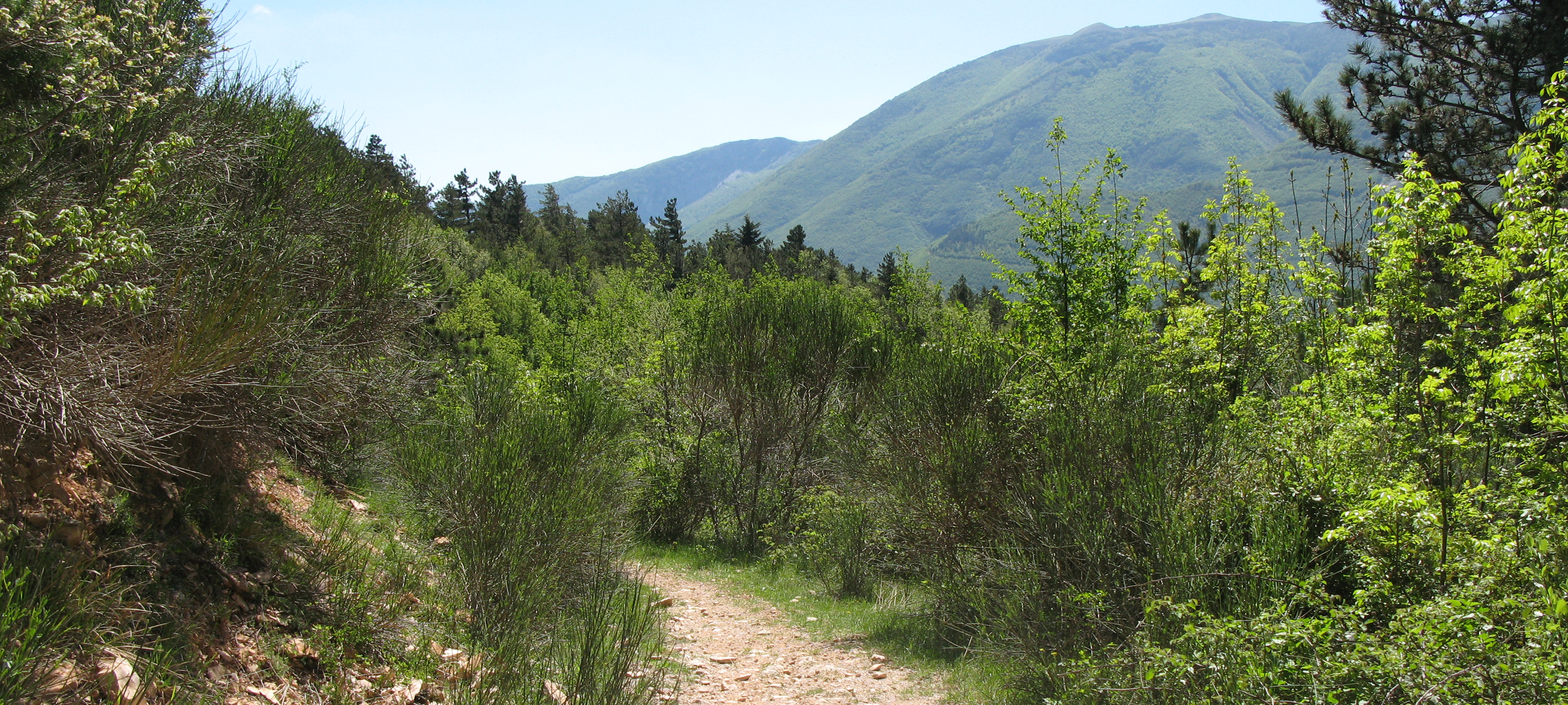 Monte di Montiego Sentiero 5 - immagine 5
