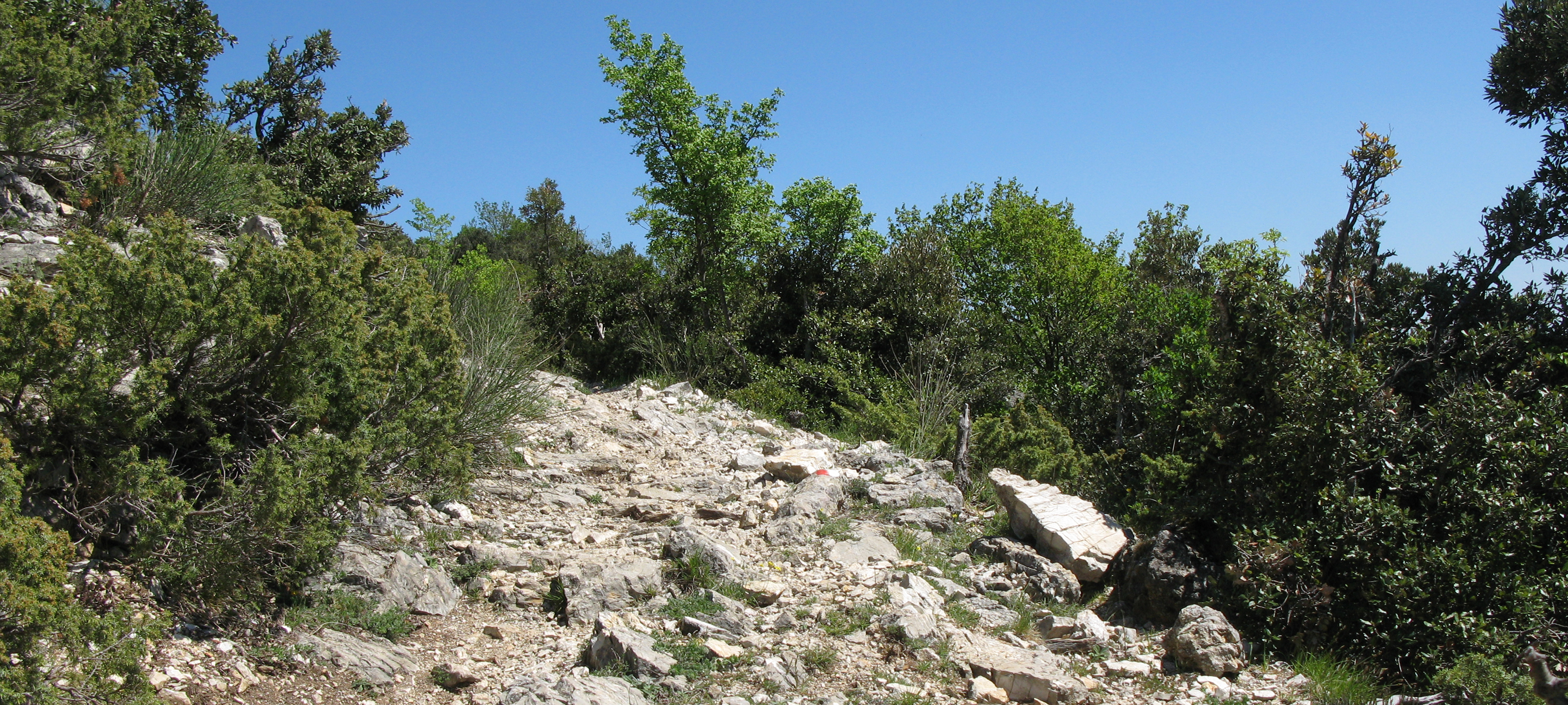 Monte di Montiego Sentiero 5 - immagine 7