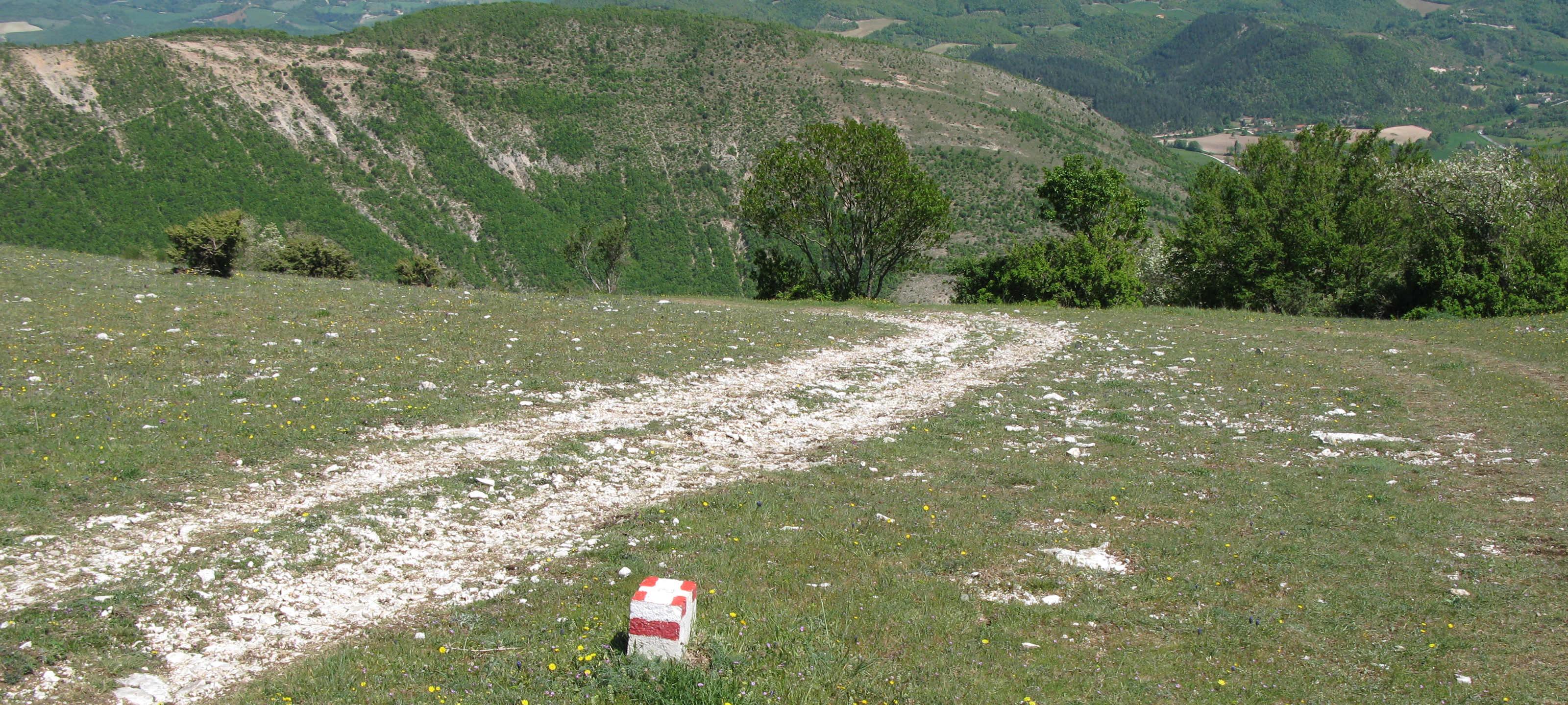 Monte di Montiego Sentiero 5 - immagine 8