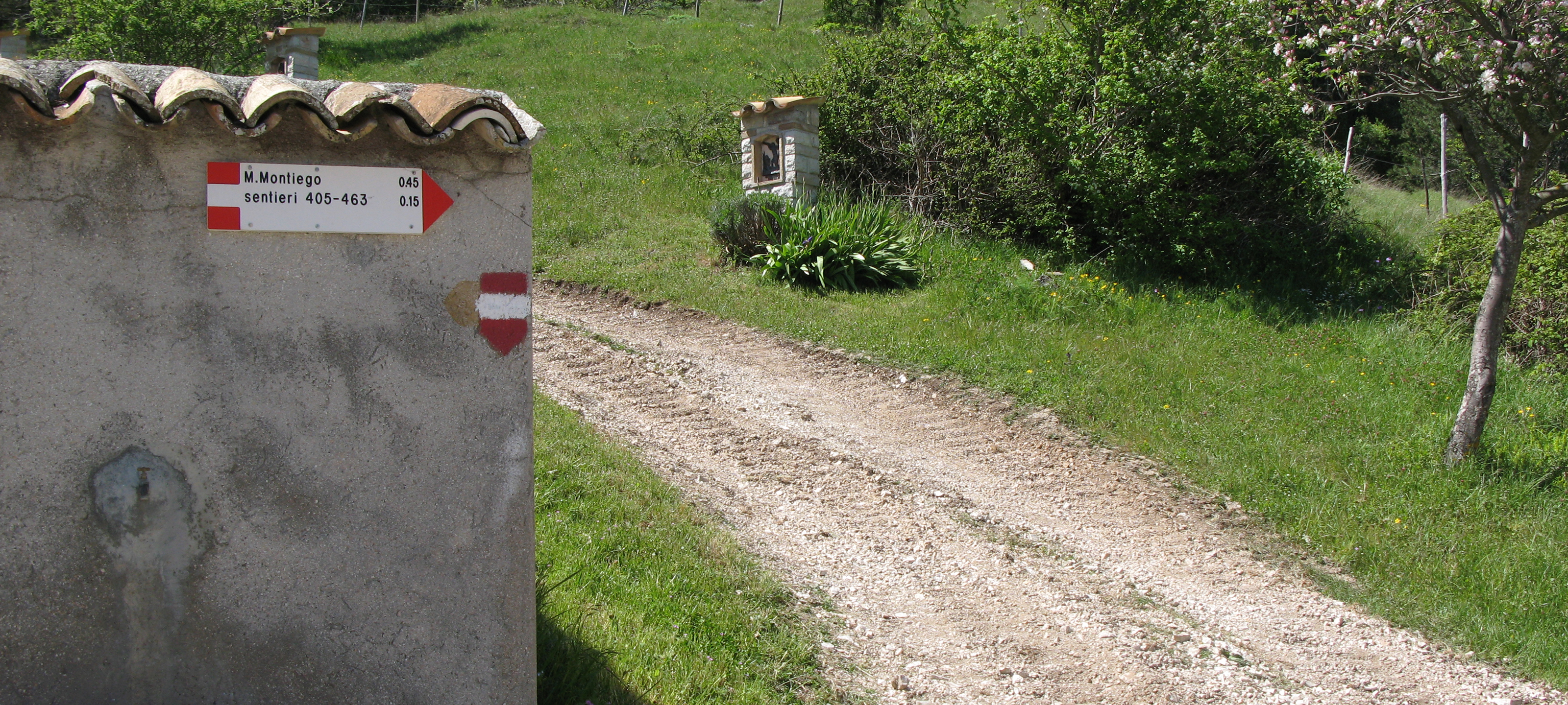 Monte di Montiego Sentiero 5 - immagine 10