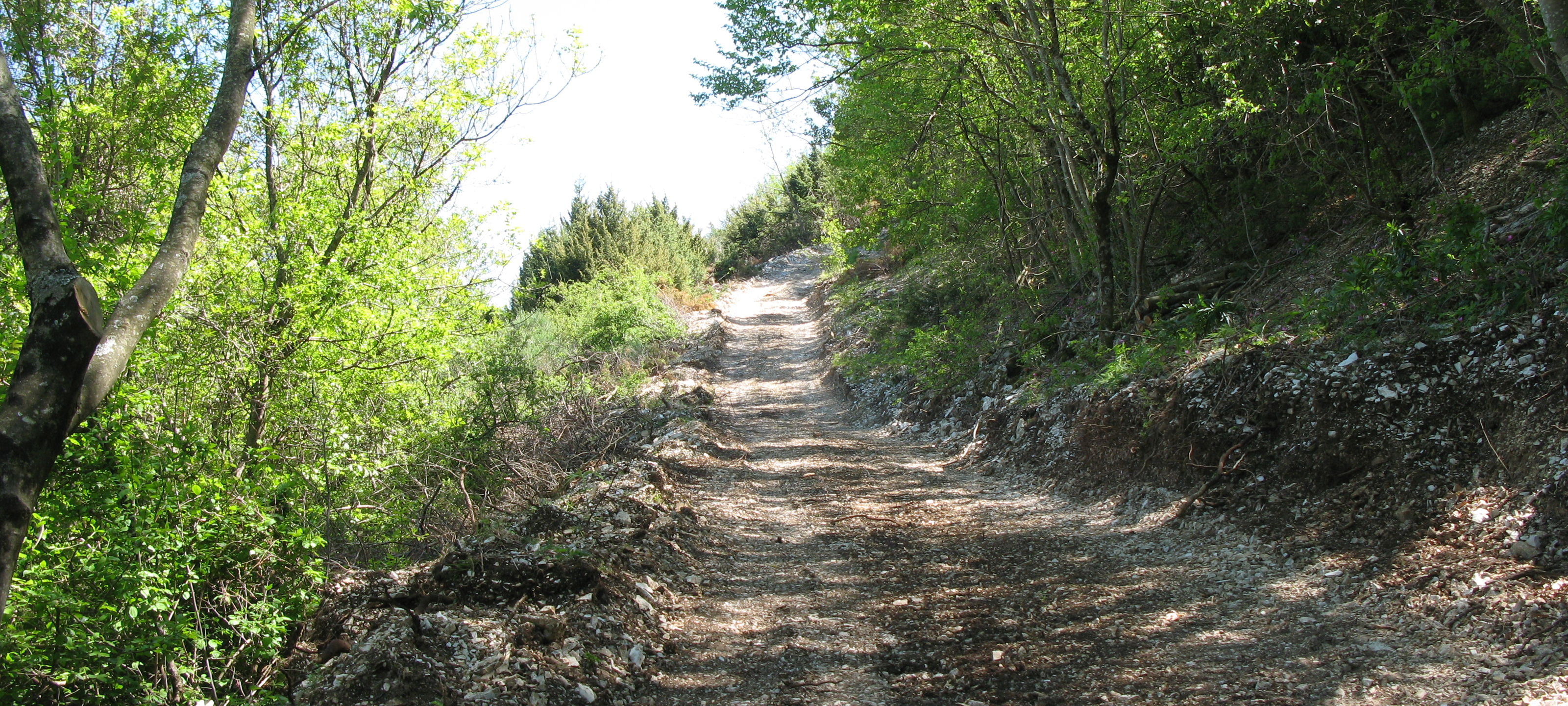 Monte di Montiego Sentiero 5 - immagine 11