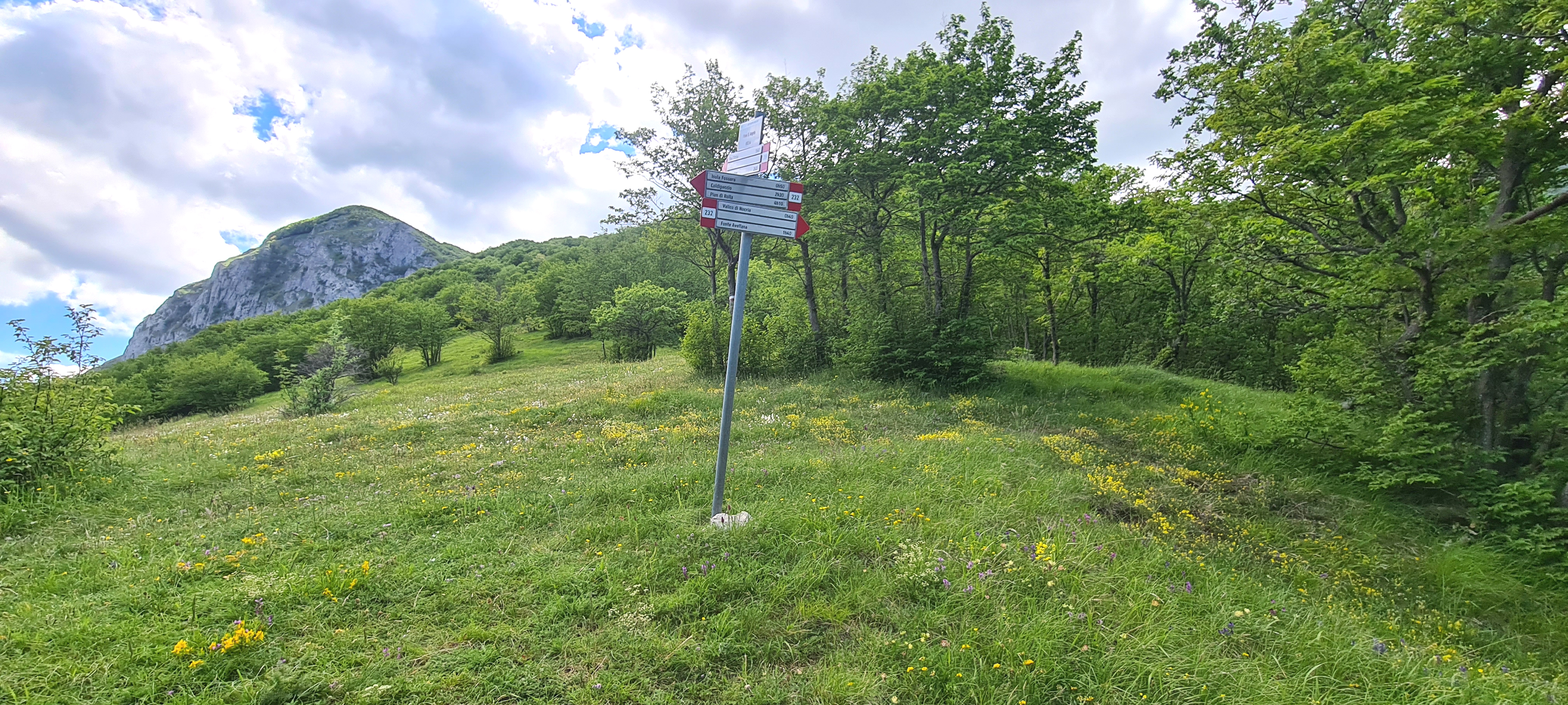 Monte Catria Sentiero 51 - immagine 1 (Piano Sant'Angelo)