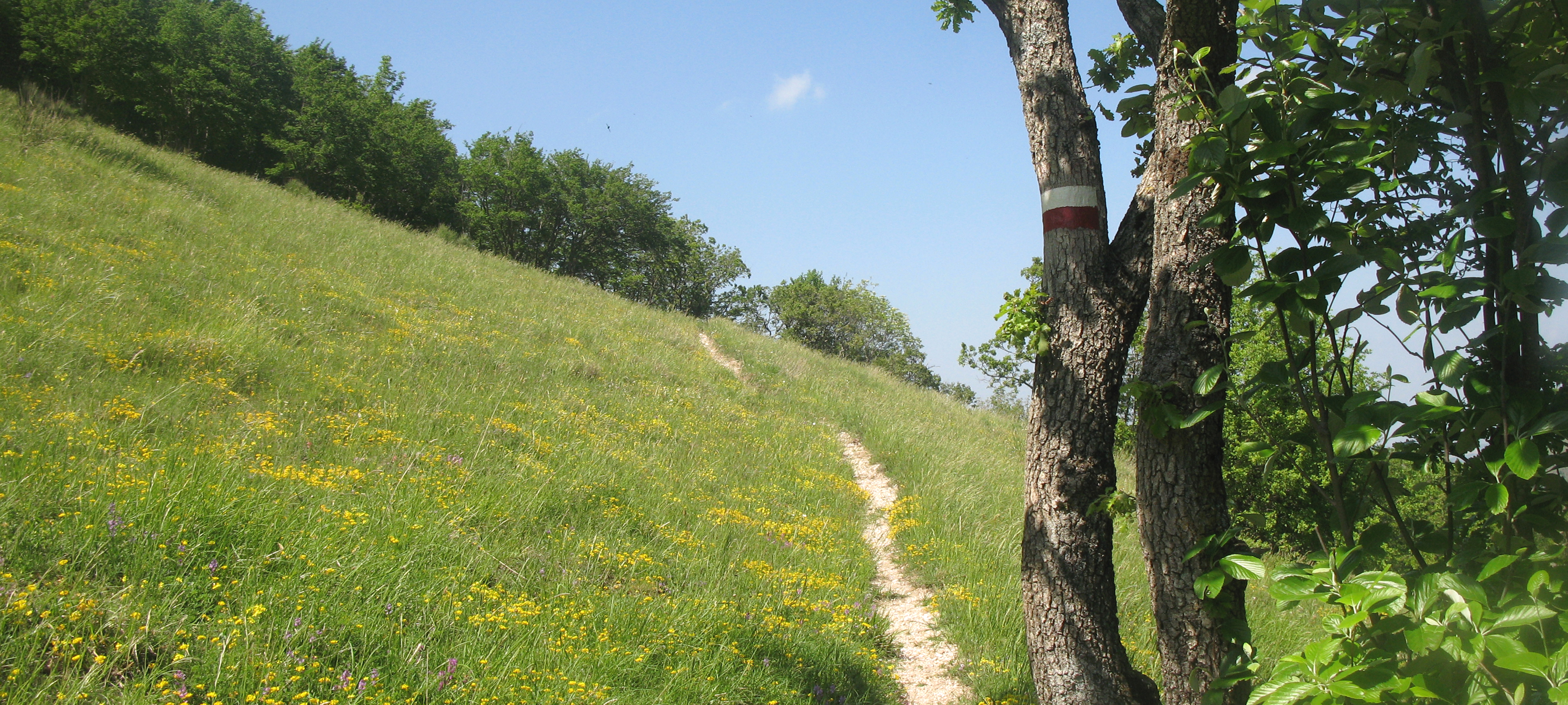 Monte Catria Sentiero 51 - immagine 2