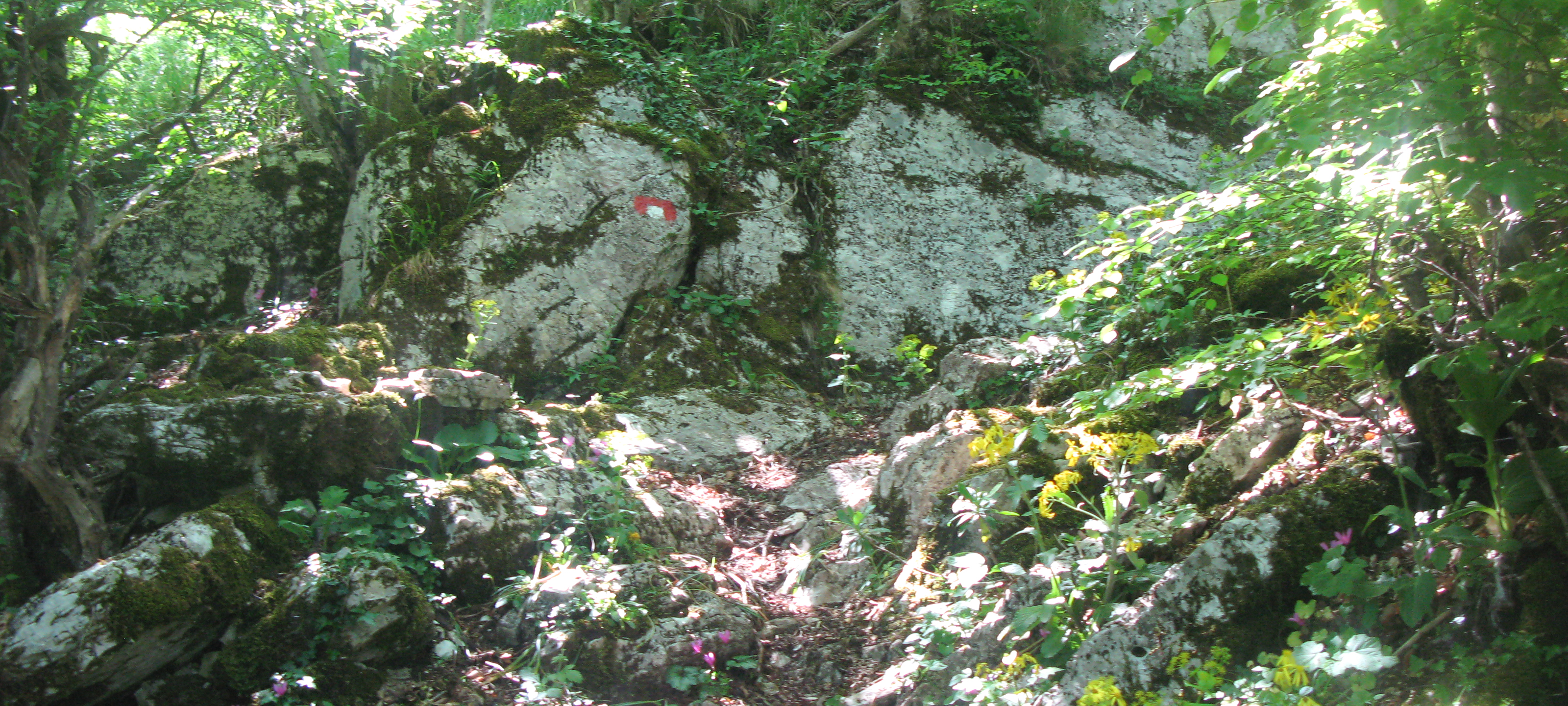 Monte Catria Sentiero 51 - immagine 3