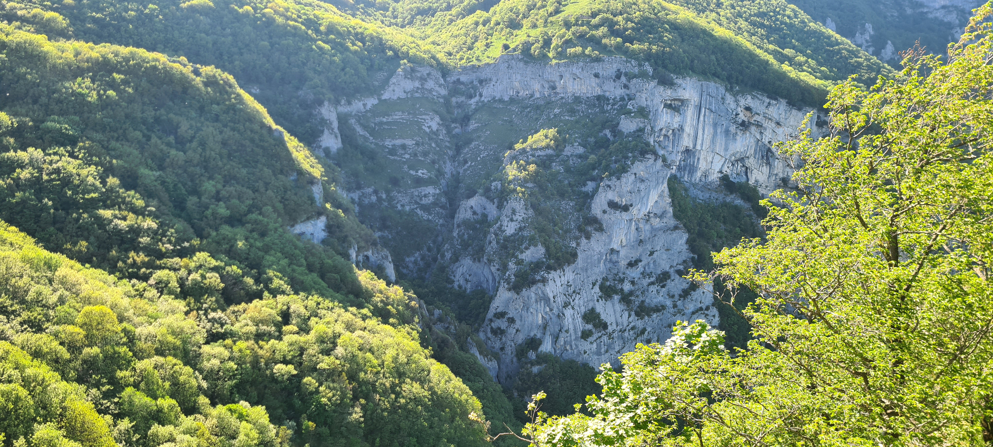 Monte Catria Sentiero 51 - immagine 5 (Balza dell'Aquila)