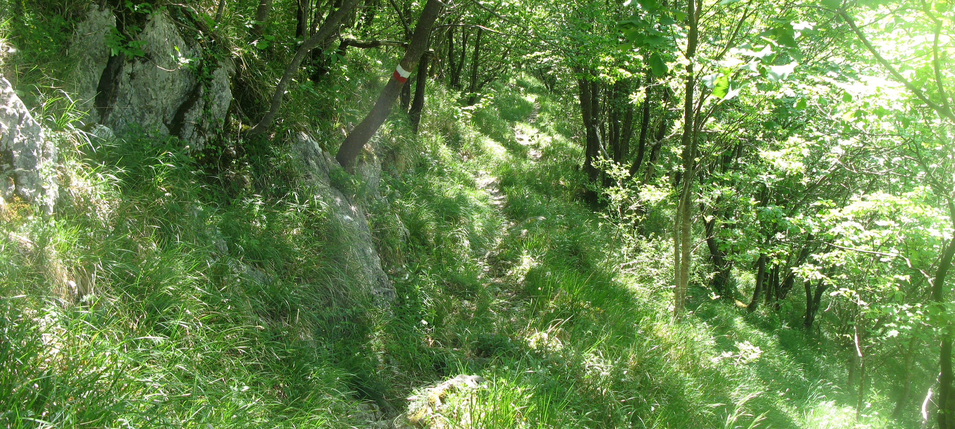 Monte Catria Sentiero 51 - immagine 6