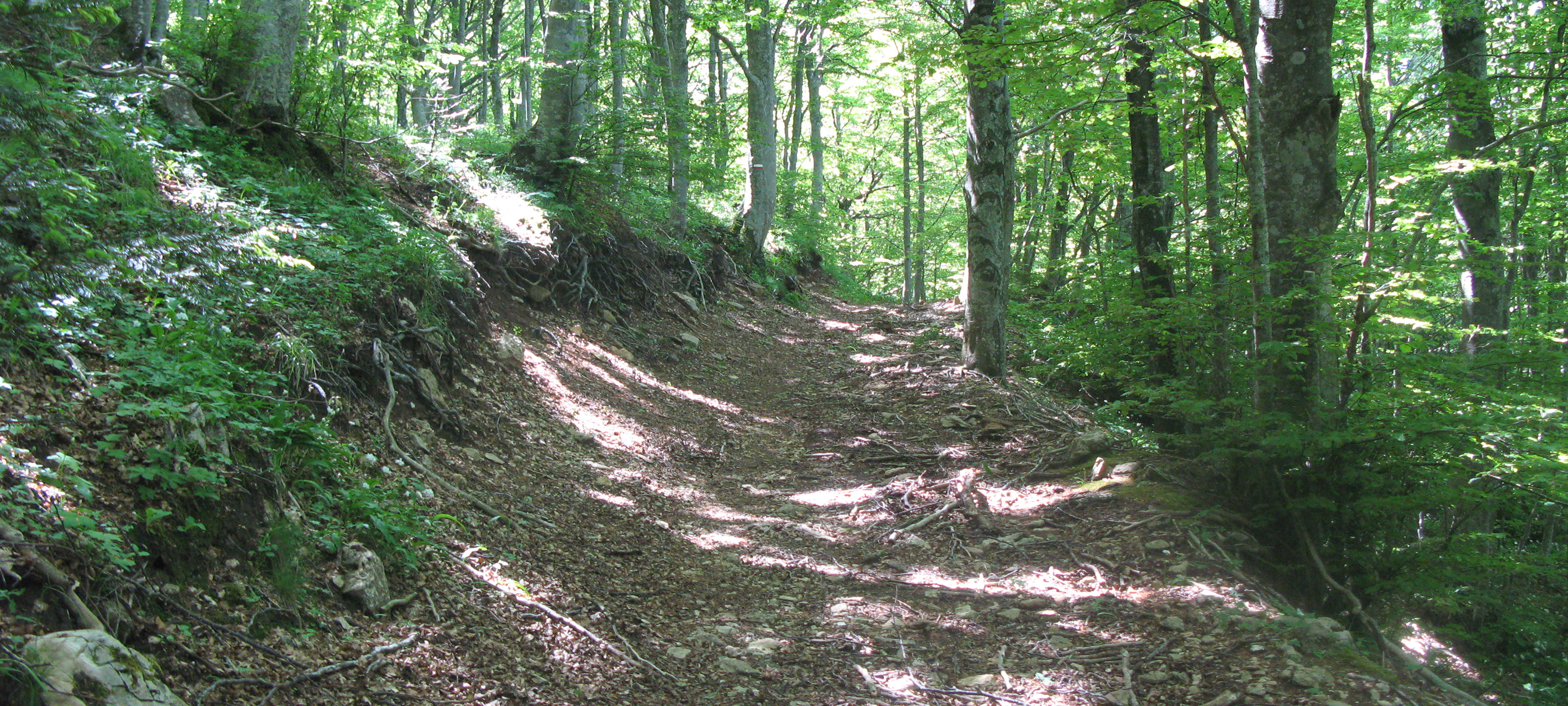 Monte Catria Sentiero 51 - immagine 7