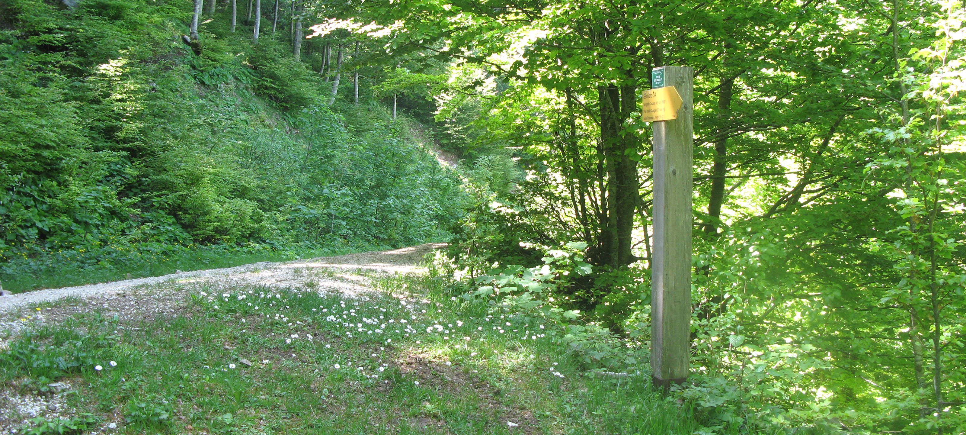 Monte Catria Sentiero 51 - immagine 9